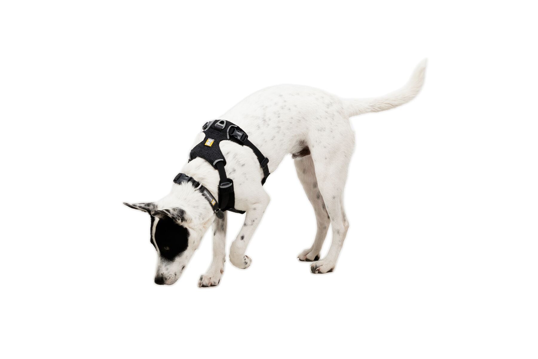Pechera para Perro Front Range® Flex Harness en Gris Basalto (Basalt Gray) | Ruffwear