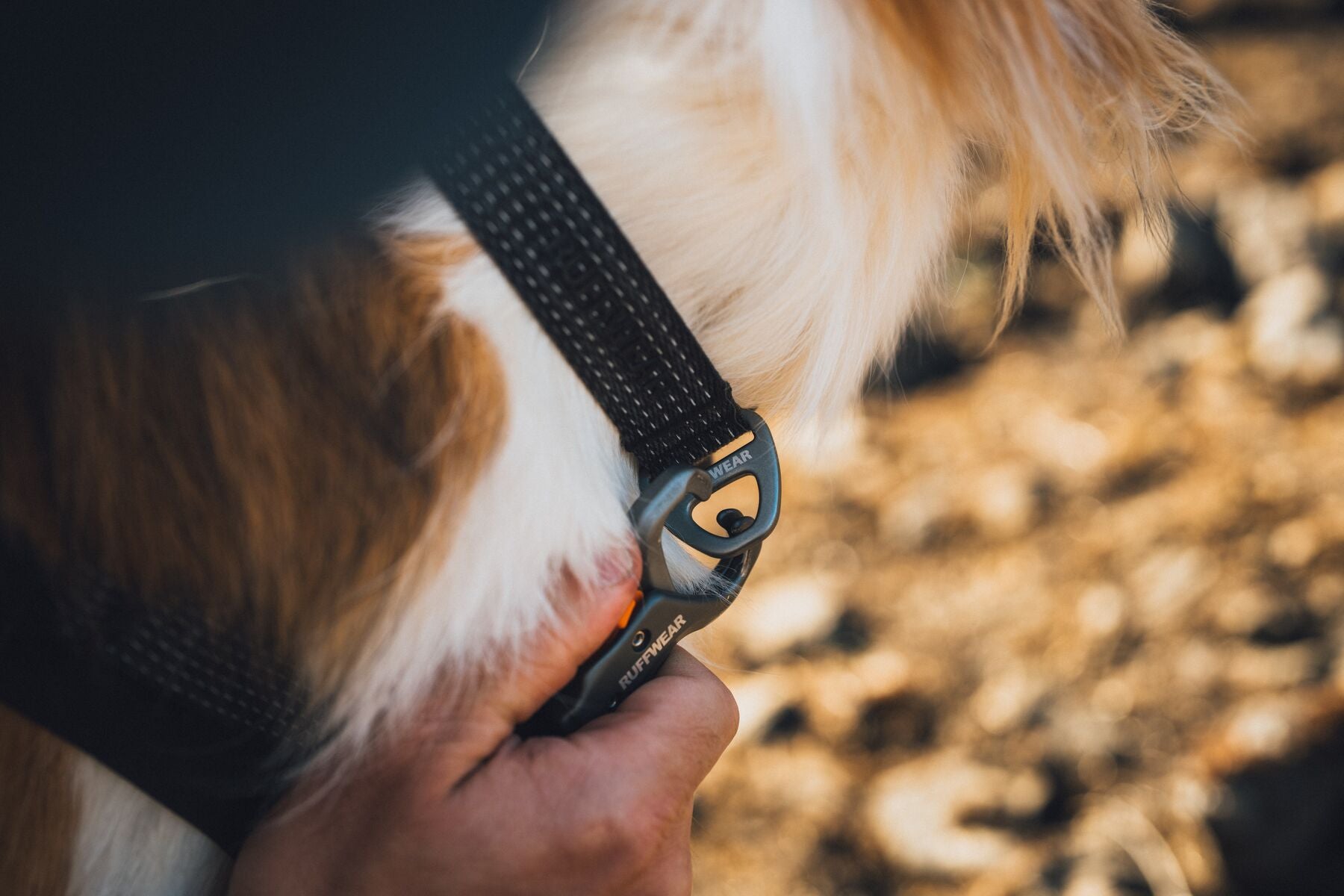 Collar para Perro Ridgeline™ Collar en Negro Obsidiana (Obsidian Black) | Ruffwear