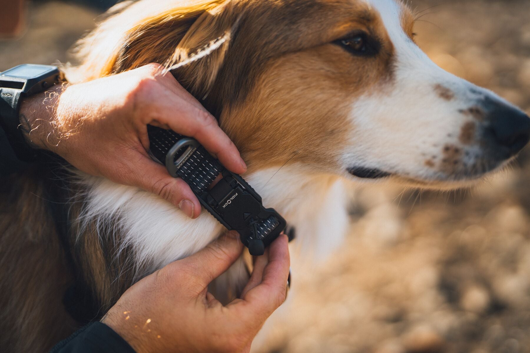 Collar para Perro Ridgeline™ Collar en Negro Obsidiana (Obsidian Black) | Ruffwear