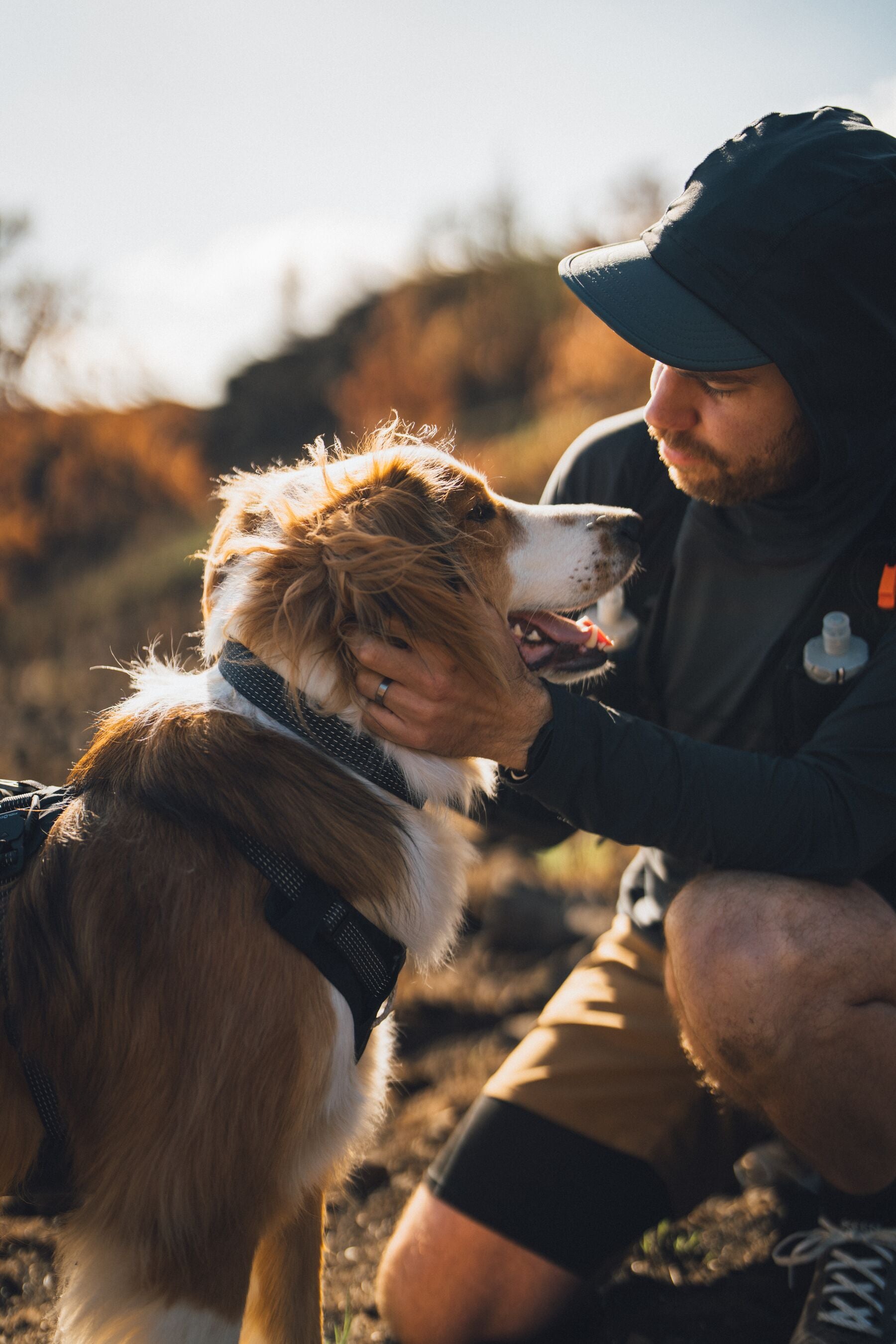 Collar para Perro Ridgeline™ Collar en Negro Obsidiana (Obsidian Black) | Ruffwear