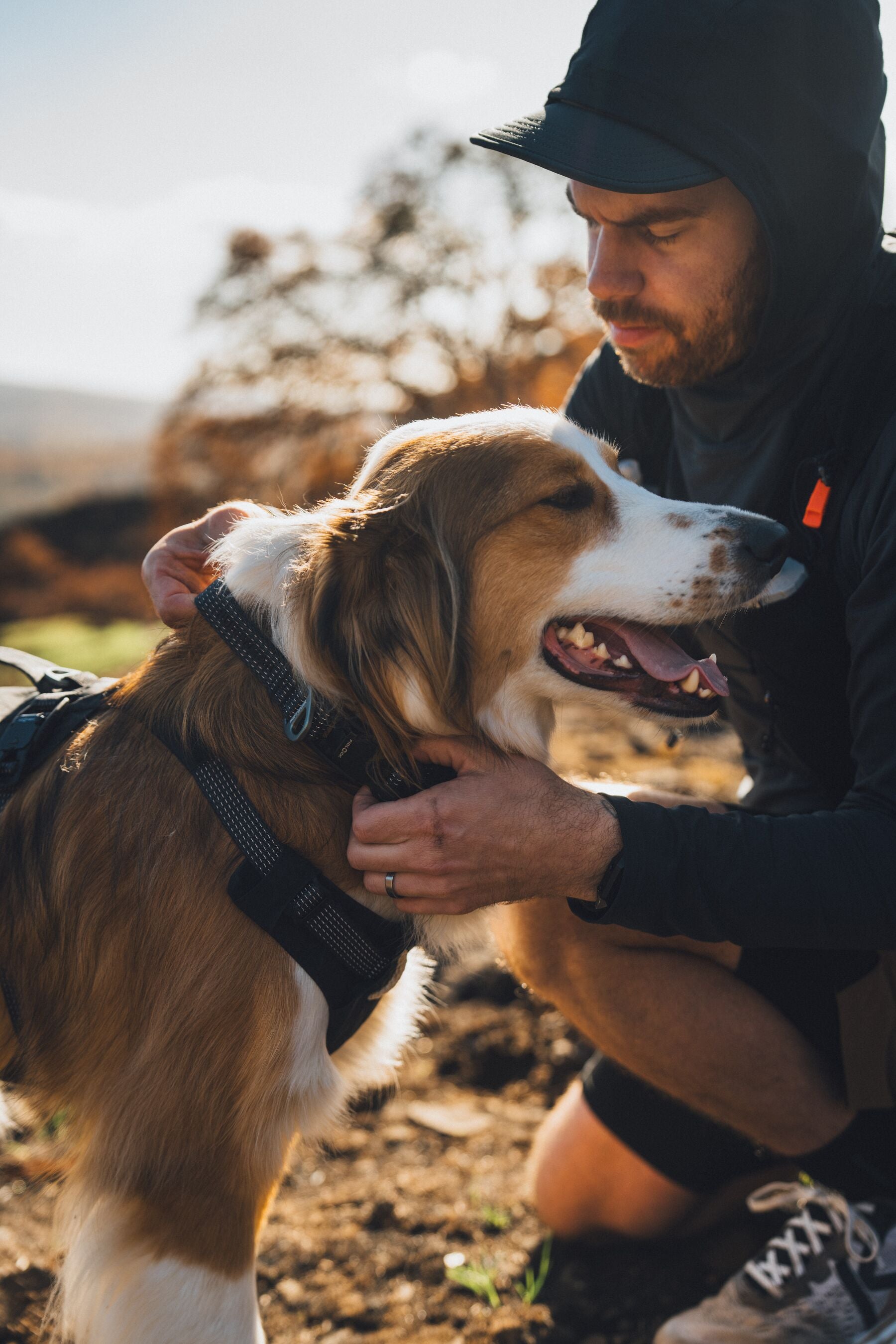 Collar para Perro Ridgeline™ Collar en Negro Obsidiana (Obsidian Black) | Ruffwear