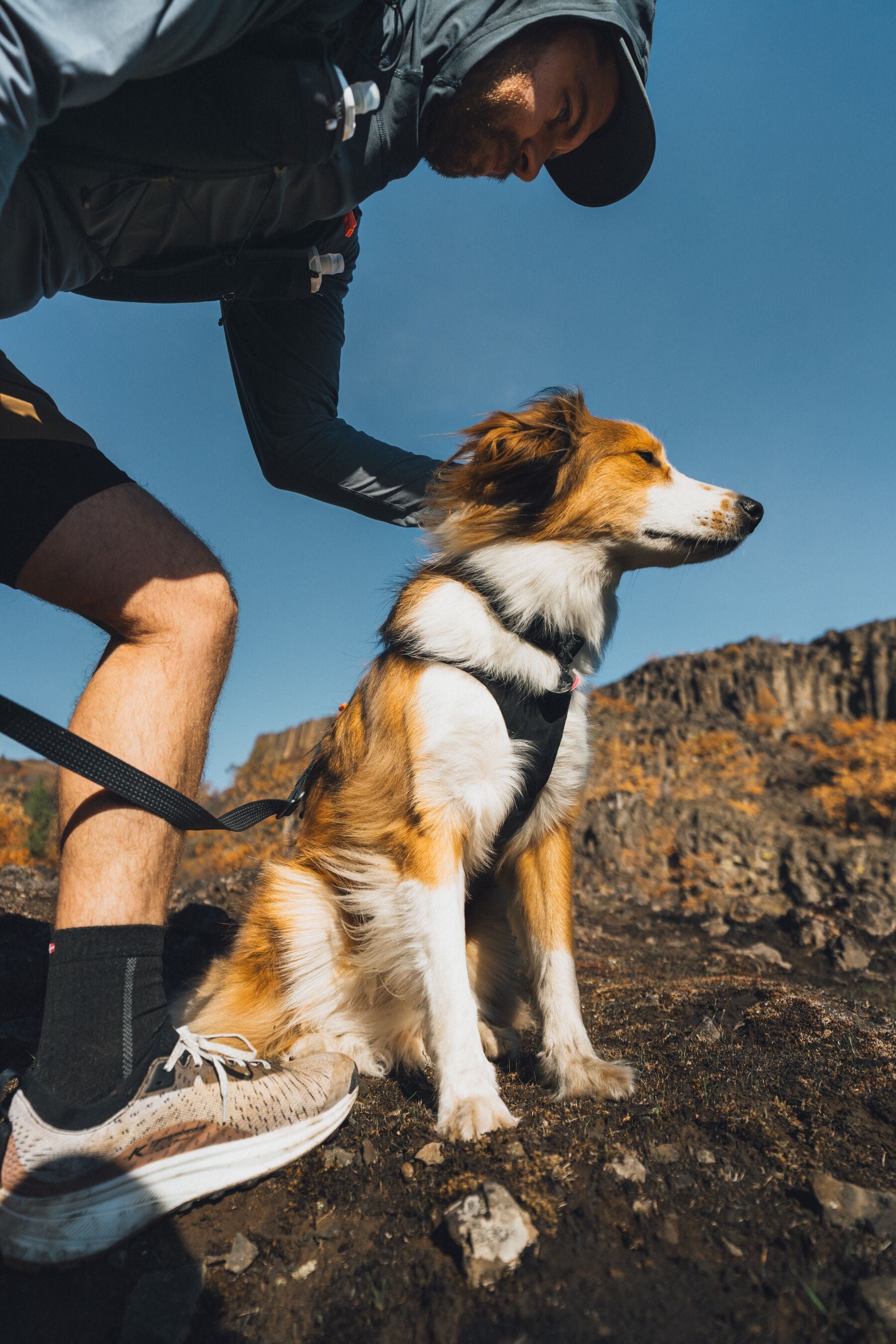 Collar para Perro Ridgeline™ Collar en Negro Obsidiana (Obsidian Black) | Ruffwear