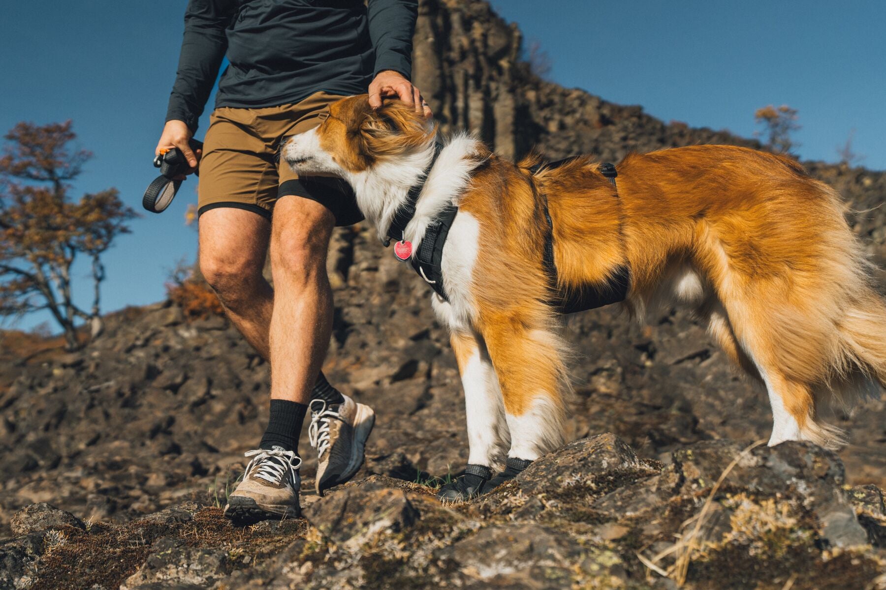 Botas para Perro Ridgeline™ Shoes en Negro Obsidiana (Obsidian Black) | Ruffwear