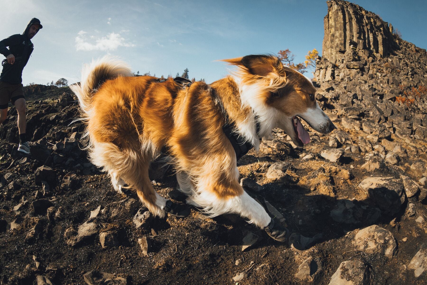 Botas para Perro Ridgeline™ Shoes en Negro Obsidiana (Obsidian Black) | Ruffwear