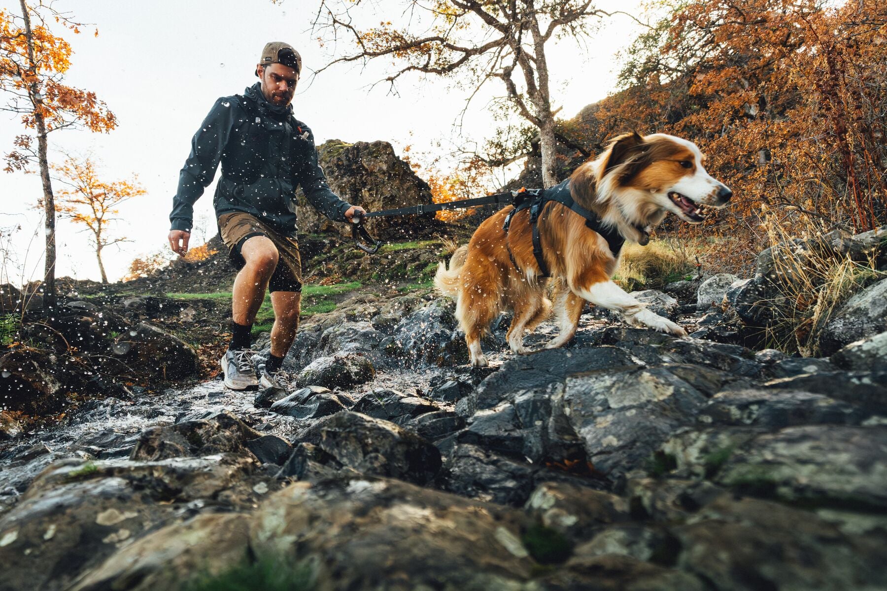 Correa para Perro Ridgeline™ Leash en Negro Obsidiana (Obsidian Black) | Ruffwear