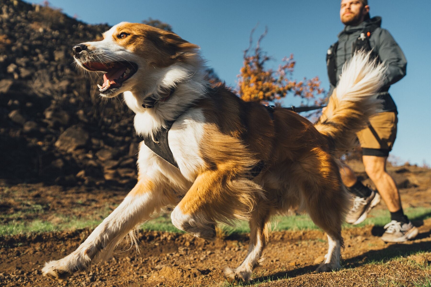 Correa para Perro Ridgeline™ Leash en Negro Obsidiana (Obsidian Black) | Ruffwear