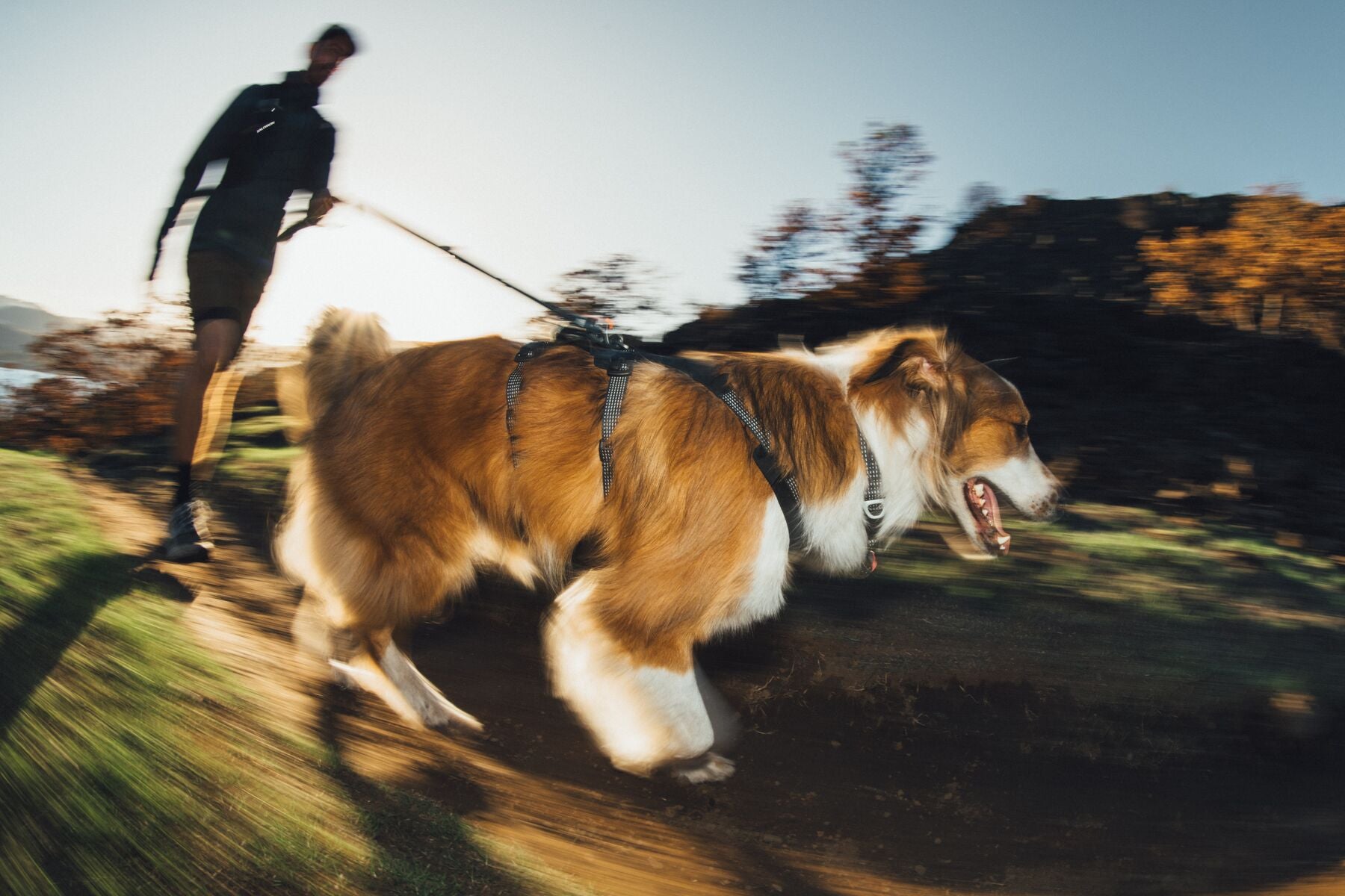 Correa para Perro Ridgeline™ Leash en Negro Obsidiana (Obsidian Black) | Ruffwear