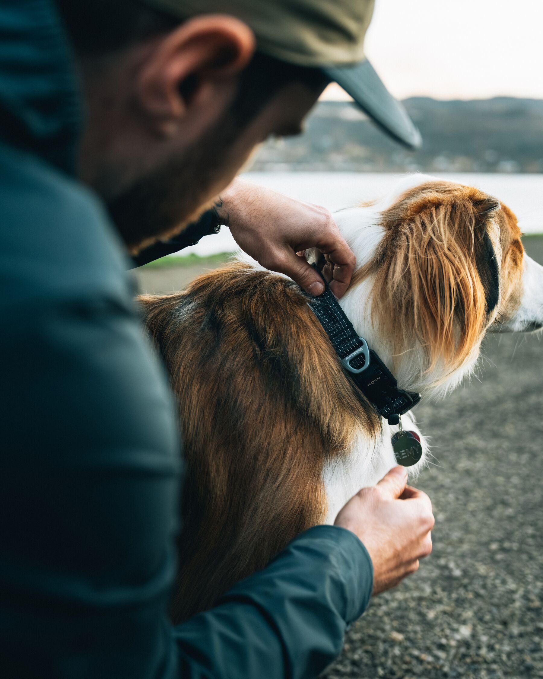 Collar para Perro Ridgeline™ Collar en Negro Obsidiana (Obsidian Black) | Ruffwear