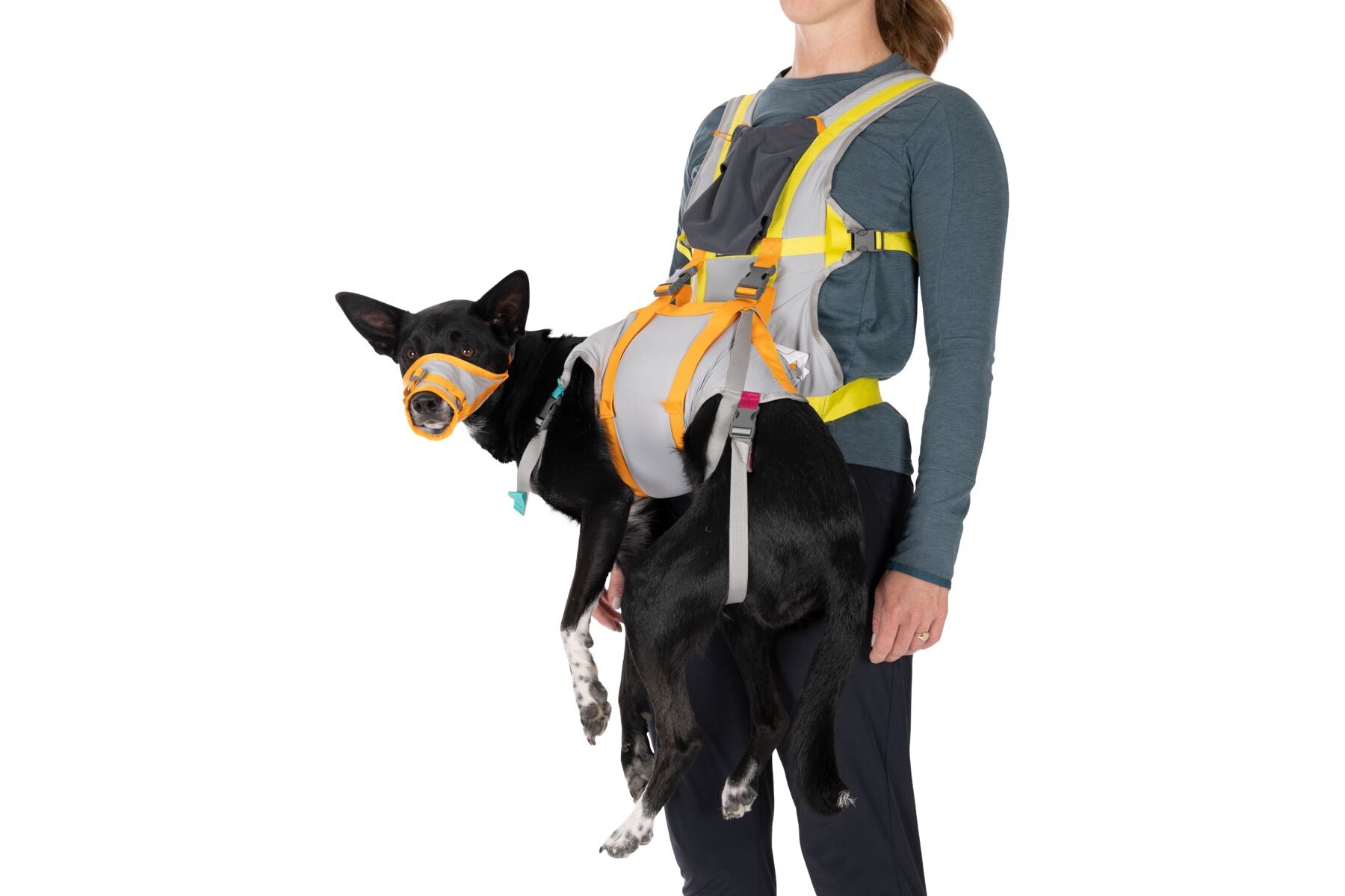 Kit de Evacuación para Perros - BackTrak™