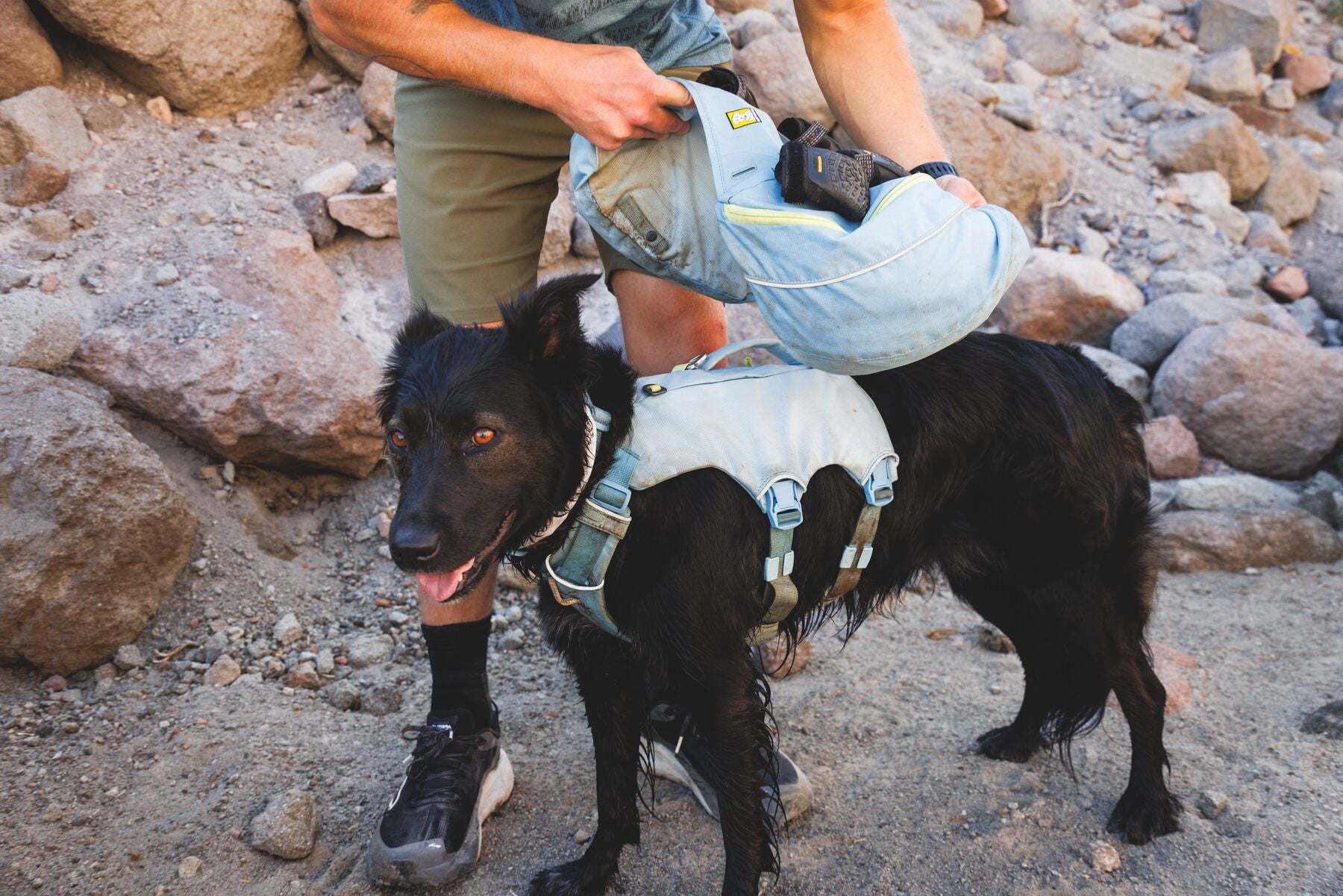 Alforja 2 en 1 de Hidratación & Pechera Palisades™ Pack en Azul Glacial (Glacier Lake) | Ruffwear