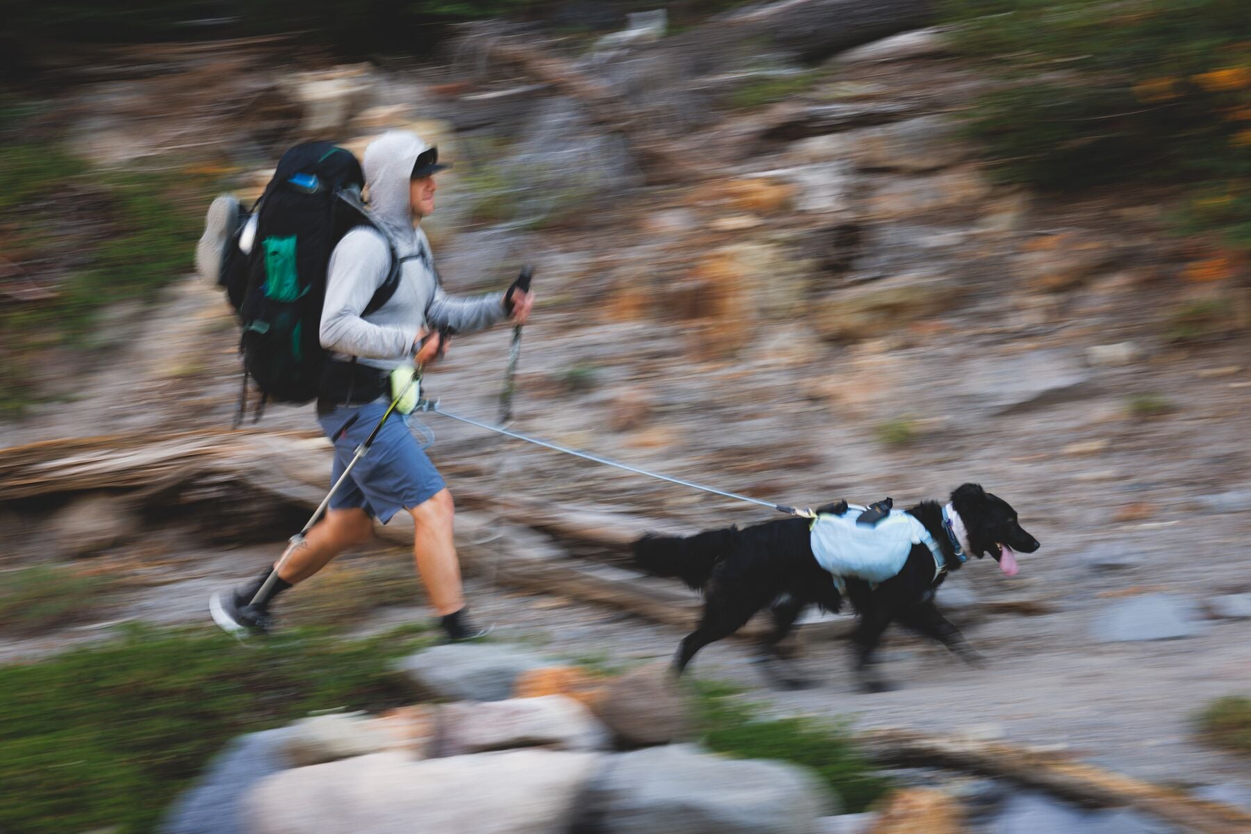 Hitch Hiker® Correa Larga Ajustable en Rojo Grosella (Red Currant) con Sistema de Bloqueo y Manos Libres - Ruffwear