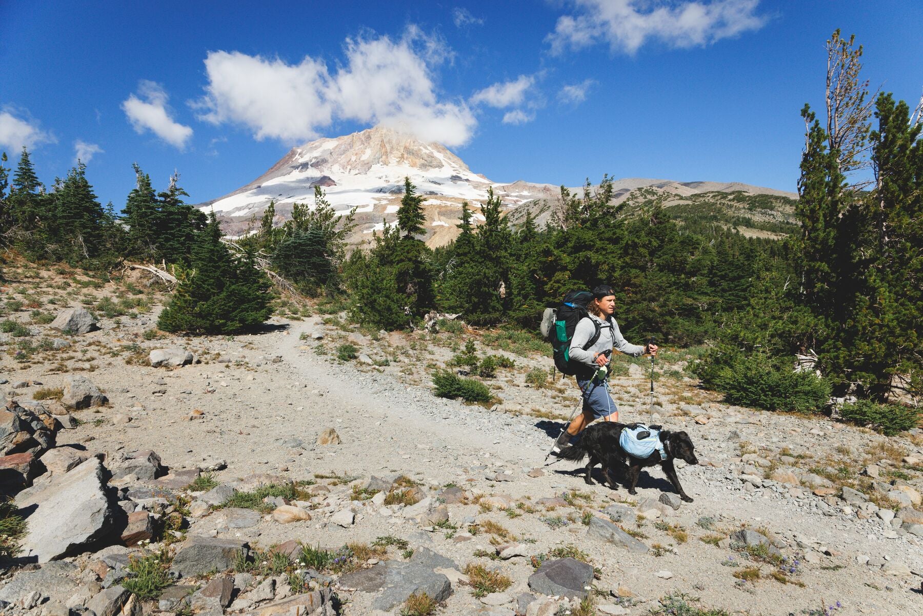 Hitch Hiker® Correa Larga Ajustable en Rojo Grosella (Red Currant) con Sistema de Bloqueo y Manos Libres - Ruffwear