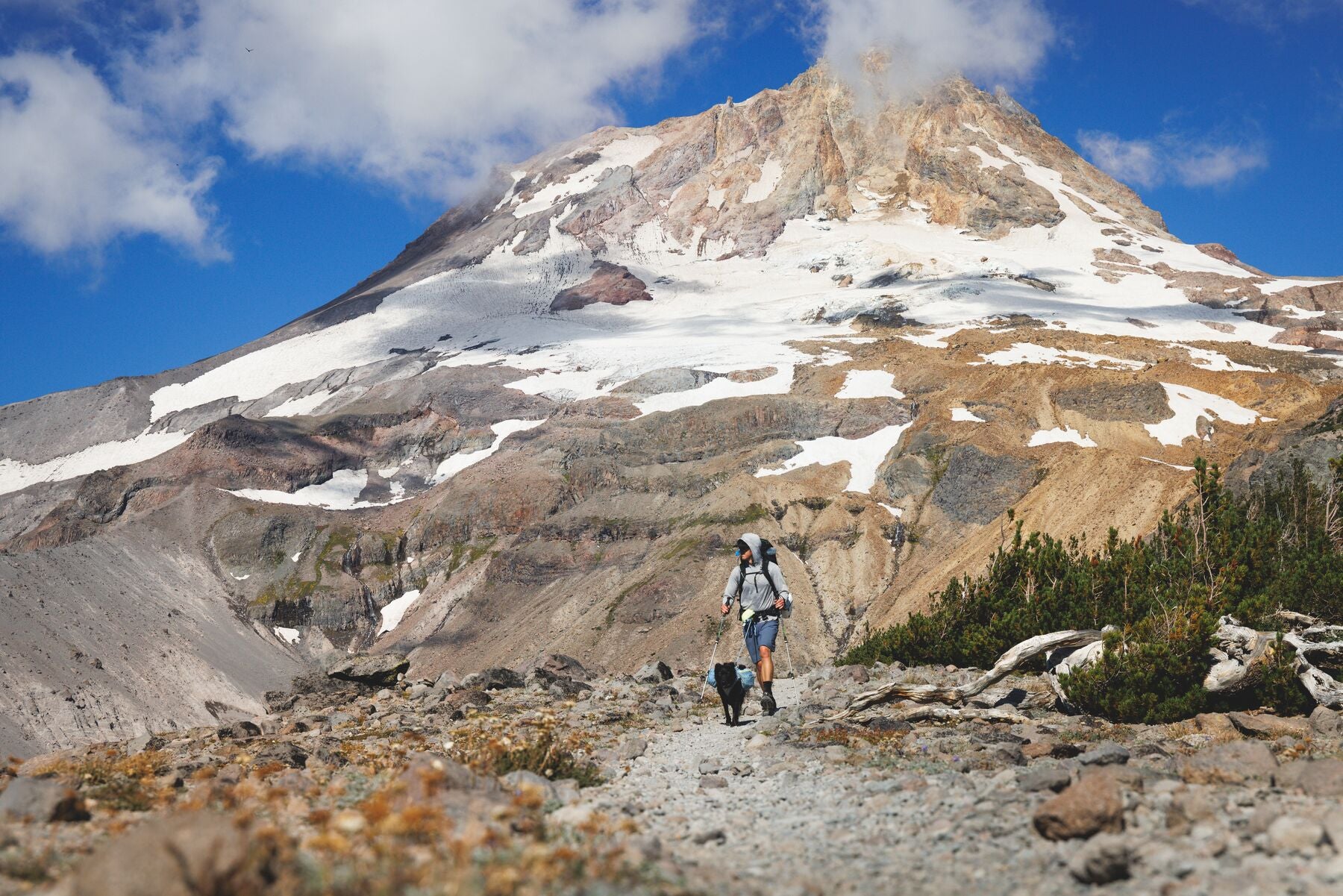 Hitch Hiker® Correa Larga Ajustable en Rojo Grosella (Red Currant) con Sistema de Bloqueo y Manos Libres - Ruffwear
