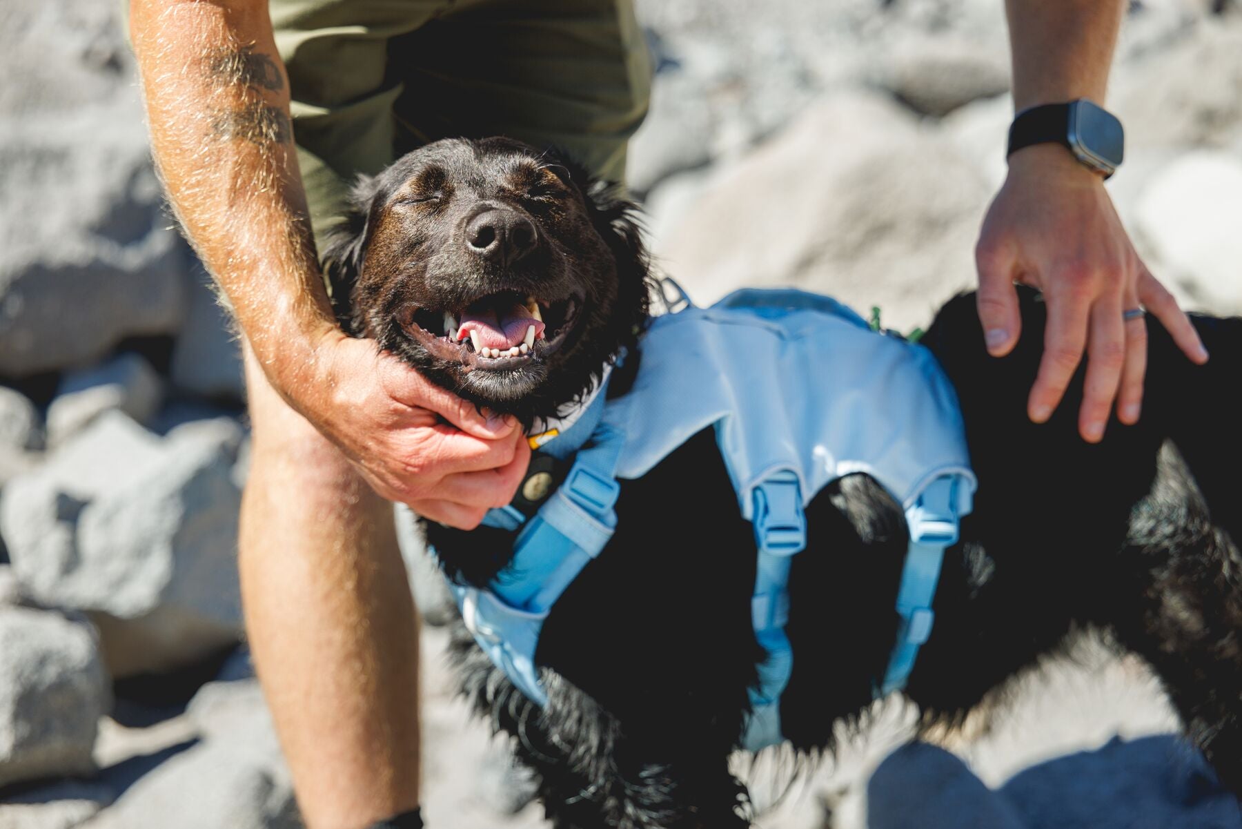 Alforja 2 en 1 de Hidratación & Pechera Palisades™ Pack en Azul Glacial (Glacier Lake) | Ruffwear