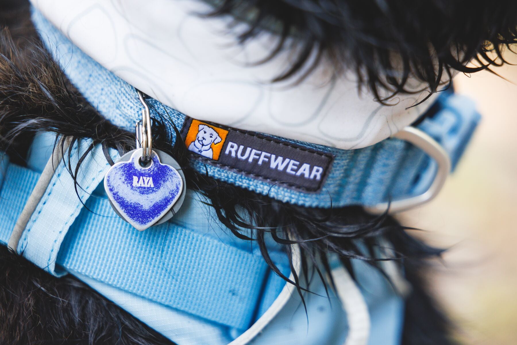 Alforja 2 en 1 de Hidratación & Pechera Palisades™ Pack en Azul Glacial (Glacier Lake) | Ruffwear