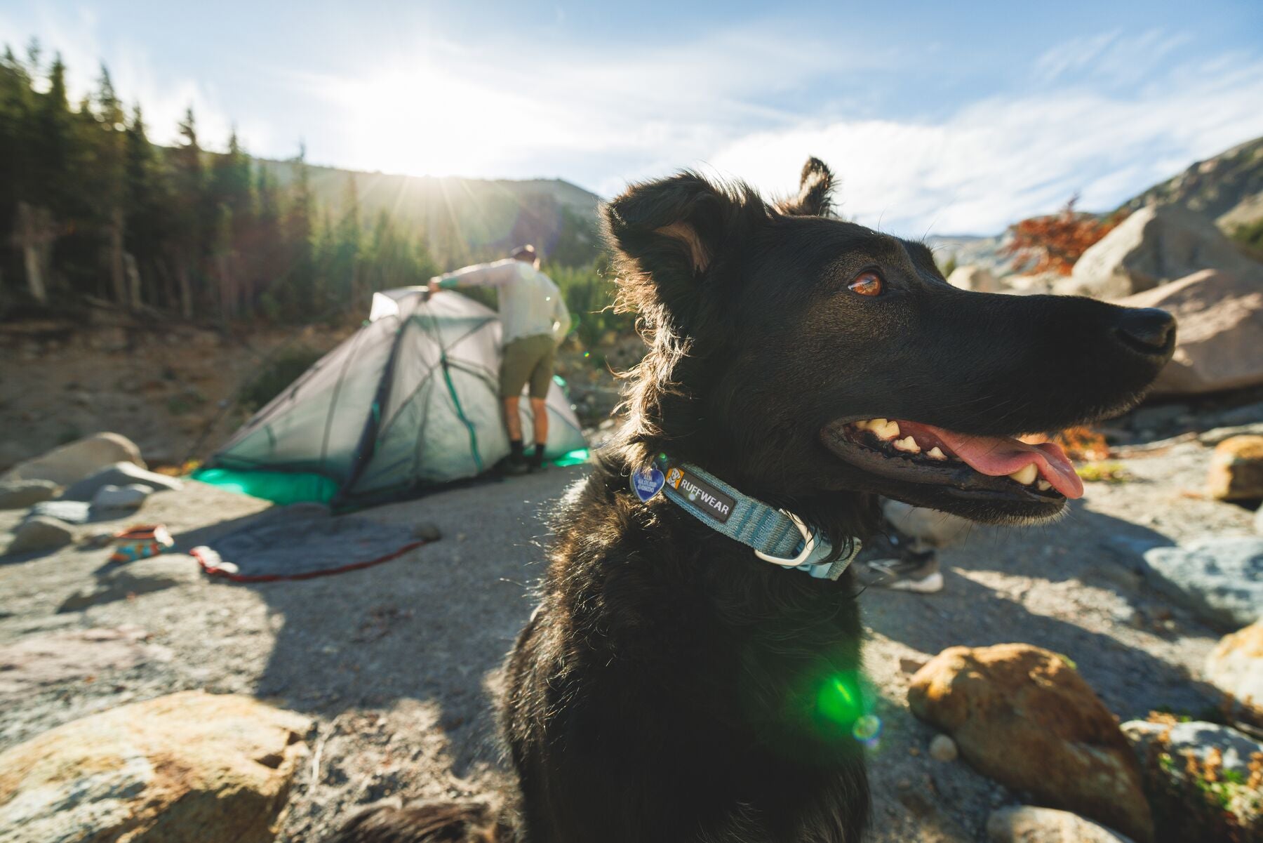 Alforja 2 en 1 de Hidratación & Pechera Palisades™ Pack en Rojo Grosella (Red Currant) | Ruffwear