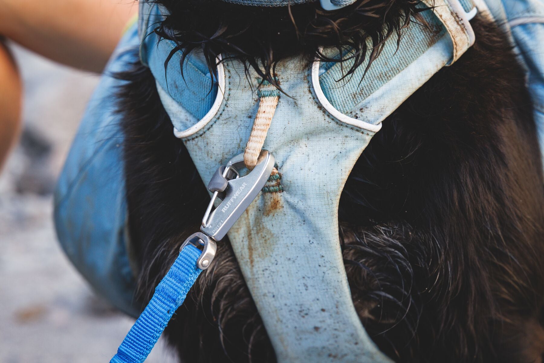 Alforja 2 en 1 de Hidratación & Pechera Palisades™ Pack en Azul Glacial (Glacier Lake) | Ruffwear