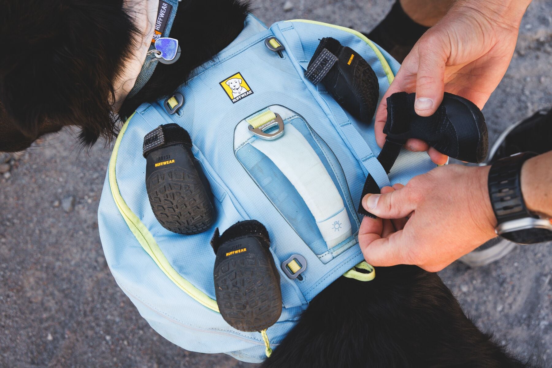 Botas para Perro Ridgeline™ Shoes en Negro Obsidiana (Obsidian Black) | Ruffwear