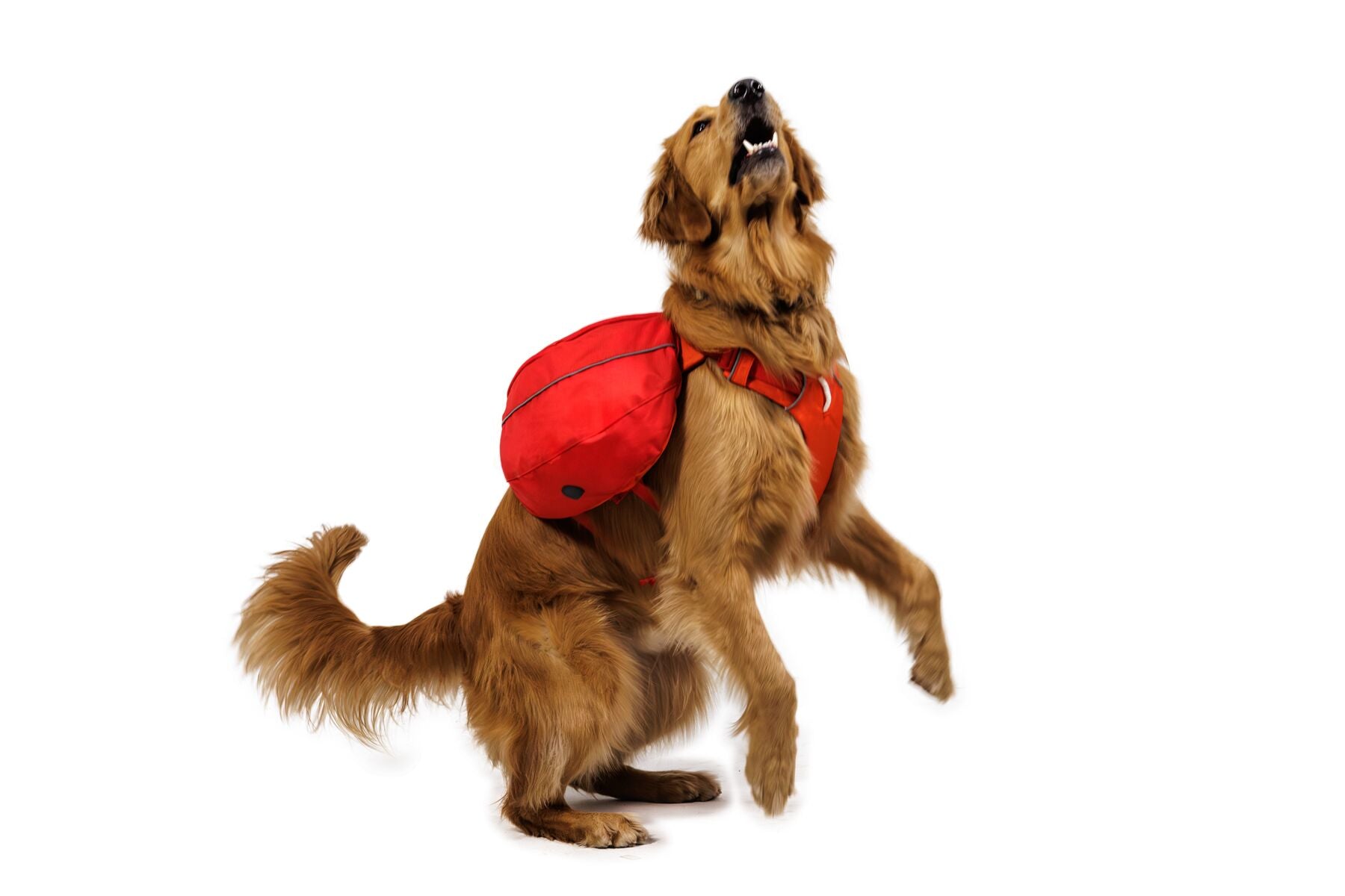 Alforja 2 en 1 de Hidratación & Pechera Palisades™ Pack en Azul Glacial (Glacier Lake) | Ruffwear