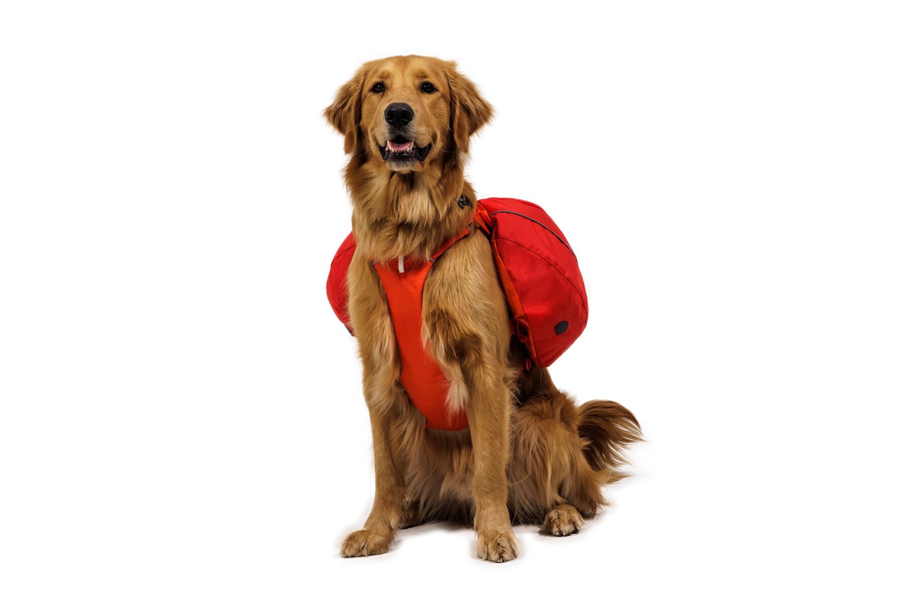 Alforja 2 en 1 de Hidratación & Pechera Palisades™ Pack en Azul Glacial (Glacier Lake) | Ruffwear