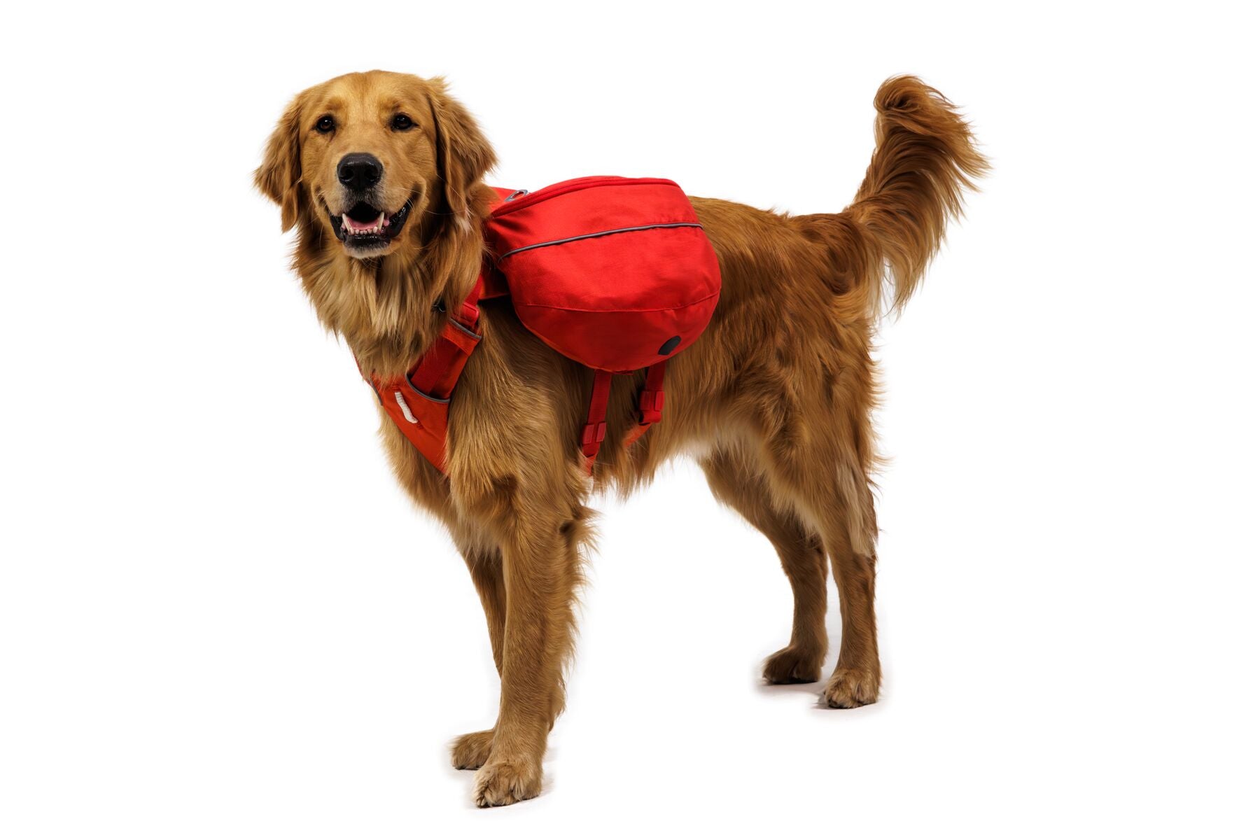 Alforja 2 en 1 de Hidratación & Pechera Palisades™ Pack en Azul Glacial (Glacier Lake) | Ruffwear