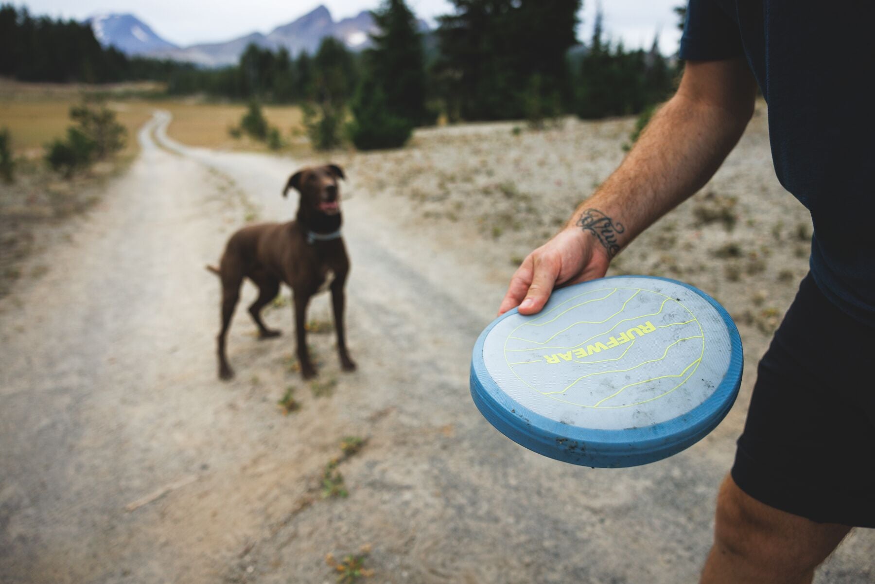 Disco Volador Camp Flyer™ Toy en Azul Polar (Polar Blue) | Ruffwear