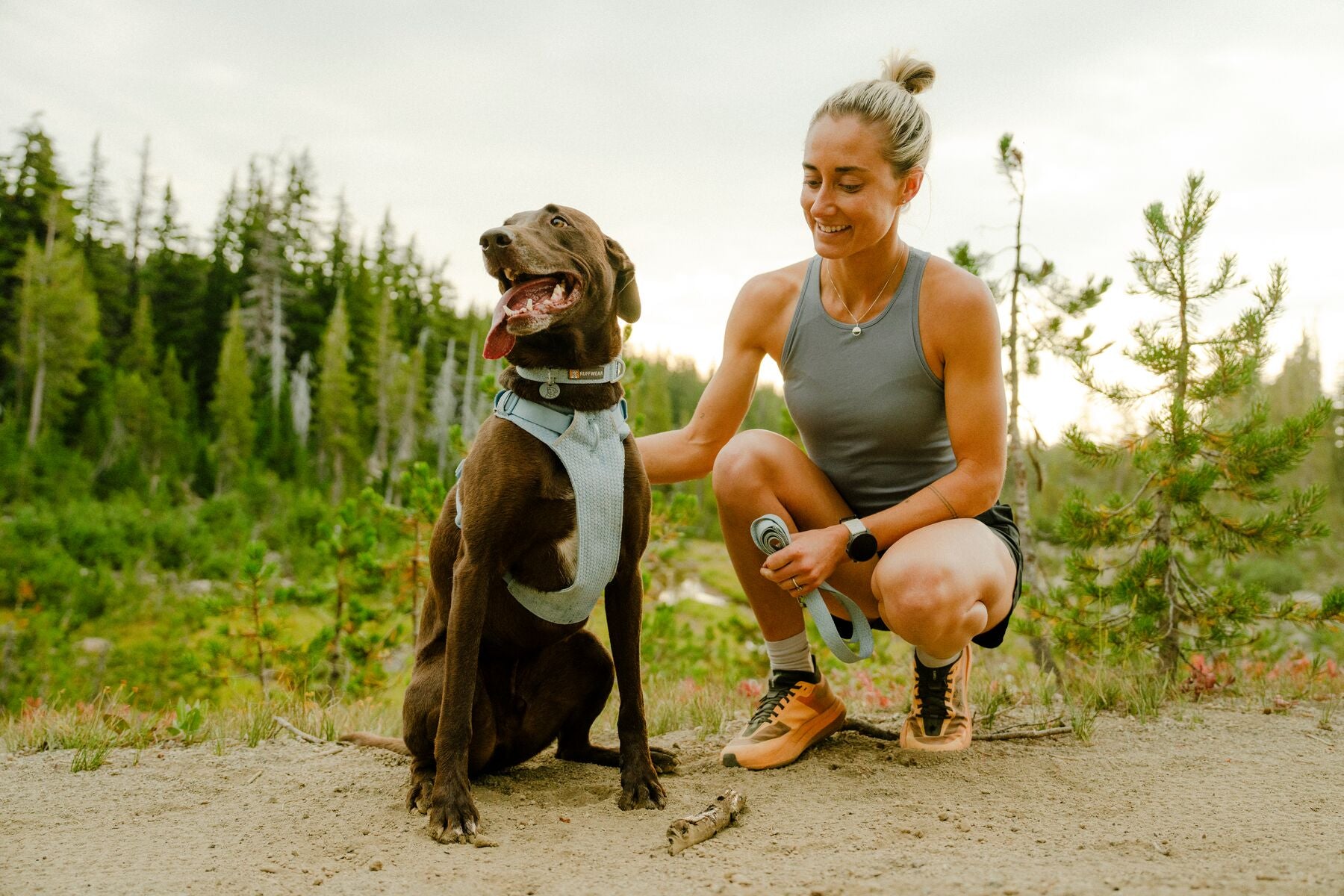 Correa para Perro Front Range™ Flex Leash en Azul Polar (Polar Blue) | Ruffwear
