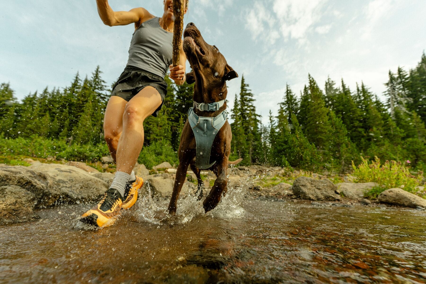 Collar para Perro Front Range™ Flex Collar en Verde Profundo (Deep Teal) | Ruffwear