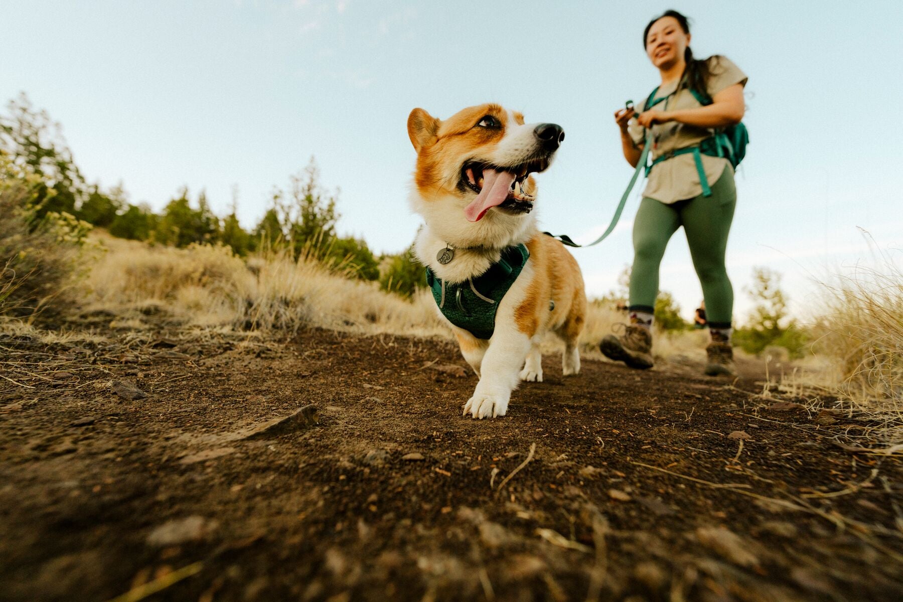 Correa para Perro Front Range™ Flex Leash en Azul Polar (Polar Blue) | Ruffwear