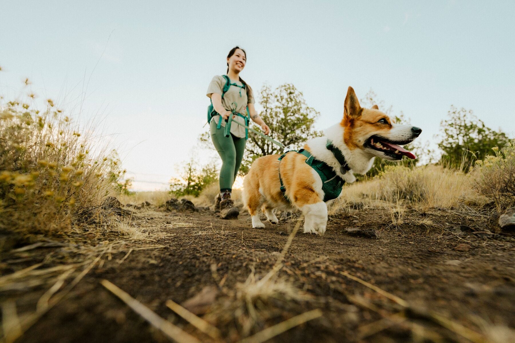 Correa para Perro Front Range™ Flex Leash en Azul Polar (Polar Blue) | Ruffwear