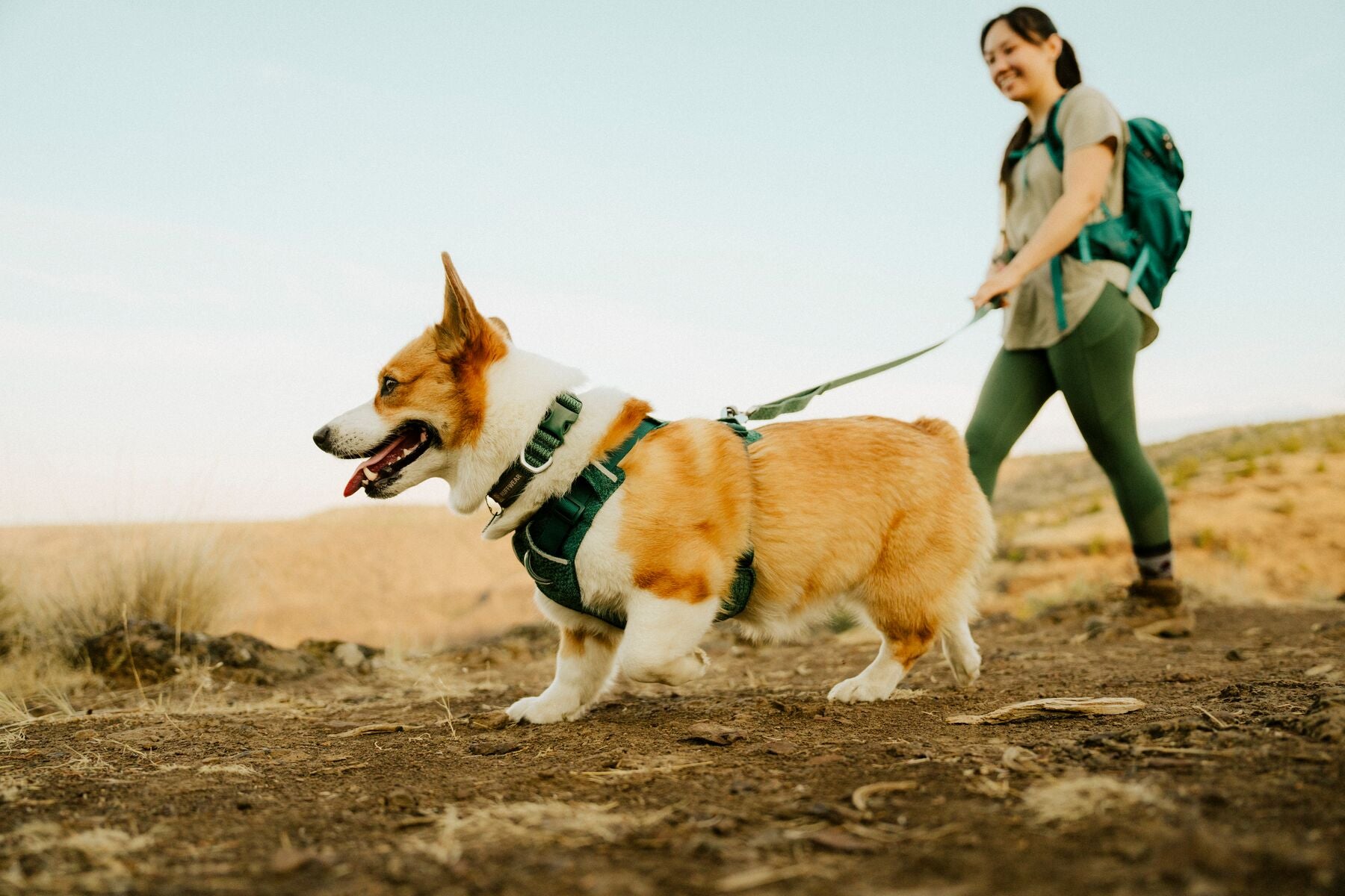 Correa para Perro Front Range™ Flex Leash en Azul Polar (Polar Blue) | Ruffwear