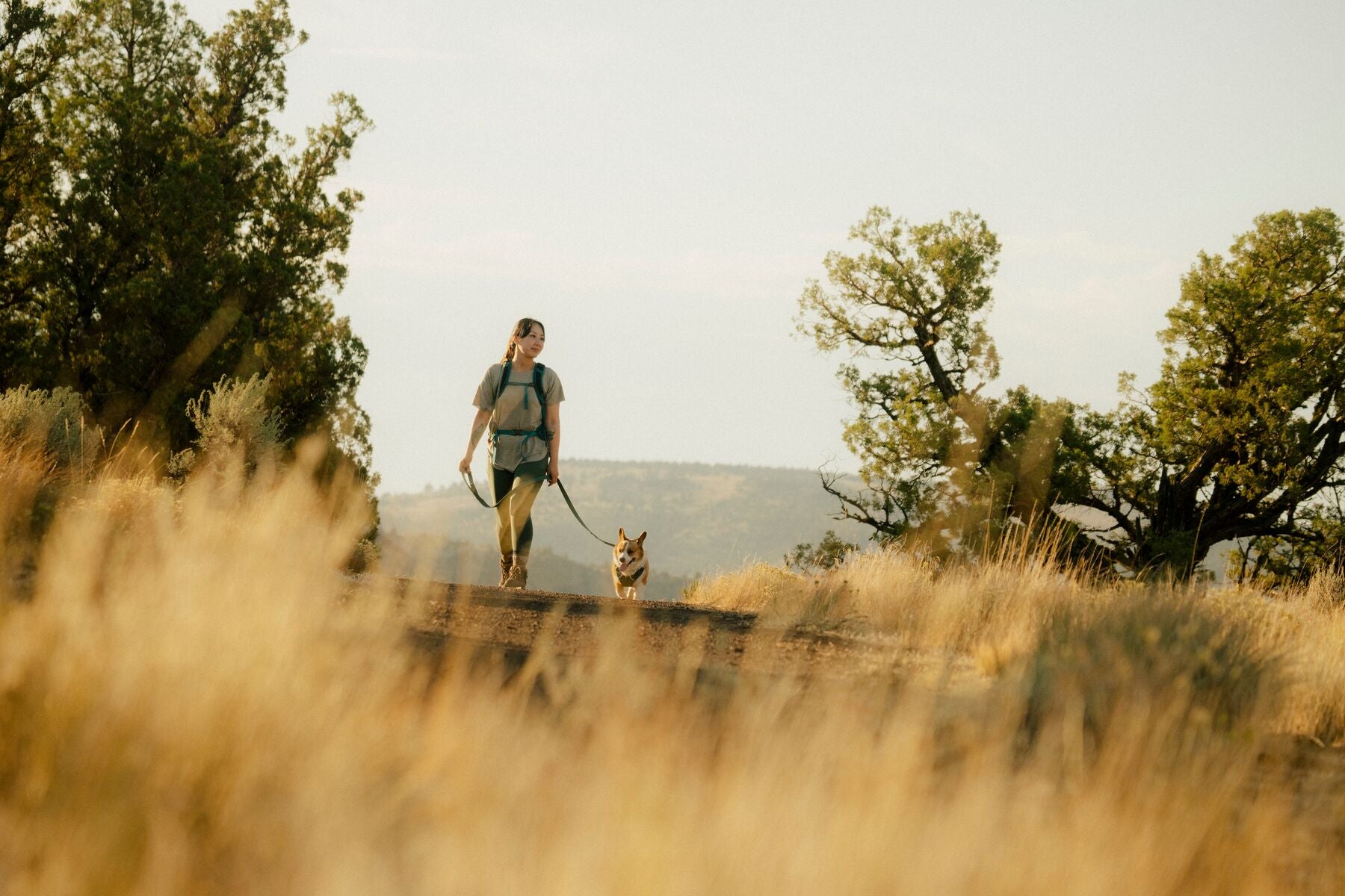 Correa para Perro Front Range™ Flex Leash en Azul Polar (Polar Blue) | Ruffwear
