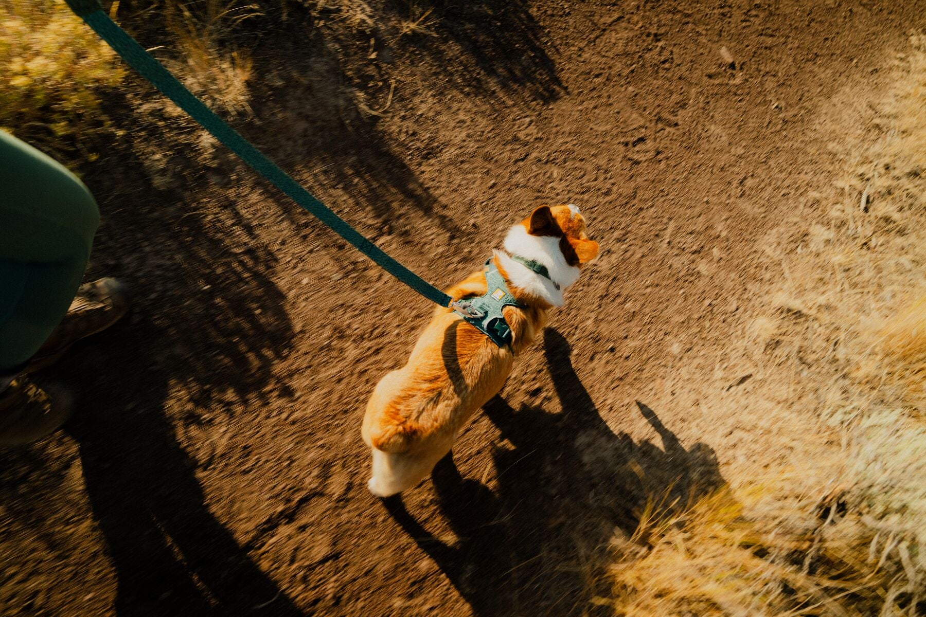 Pechera para Perro Front Range® Flex Harness en Azul Polar (Polar Blue) | Ruffwear