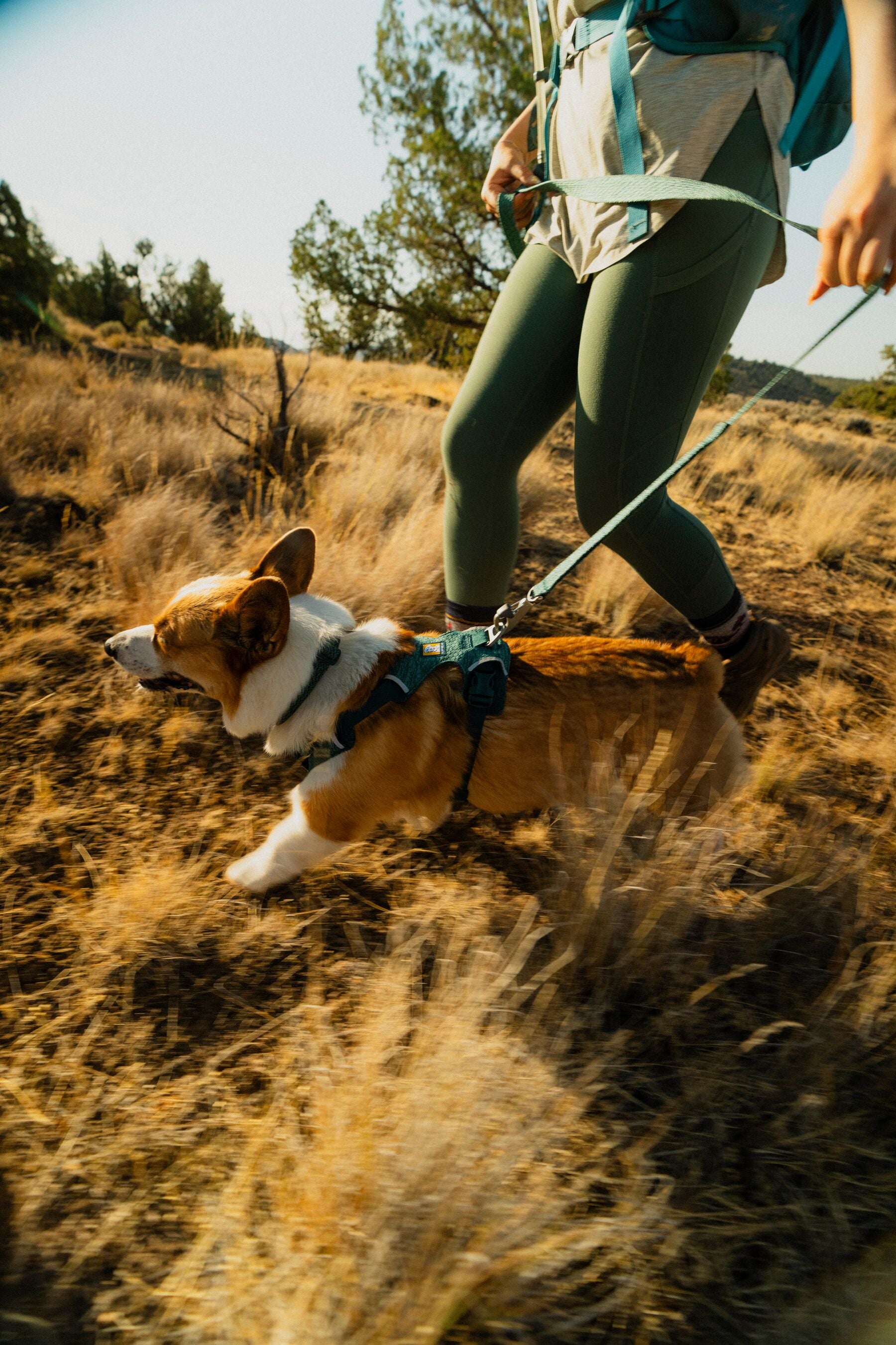 Correa para Perro Front Range™ Flex Leash en Azul Polar (Polar Blue) | Ruffwear
