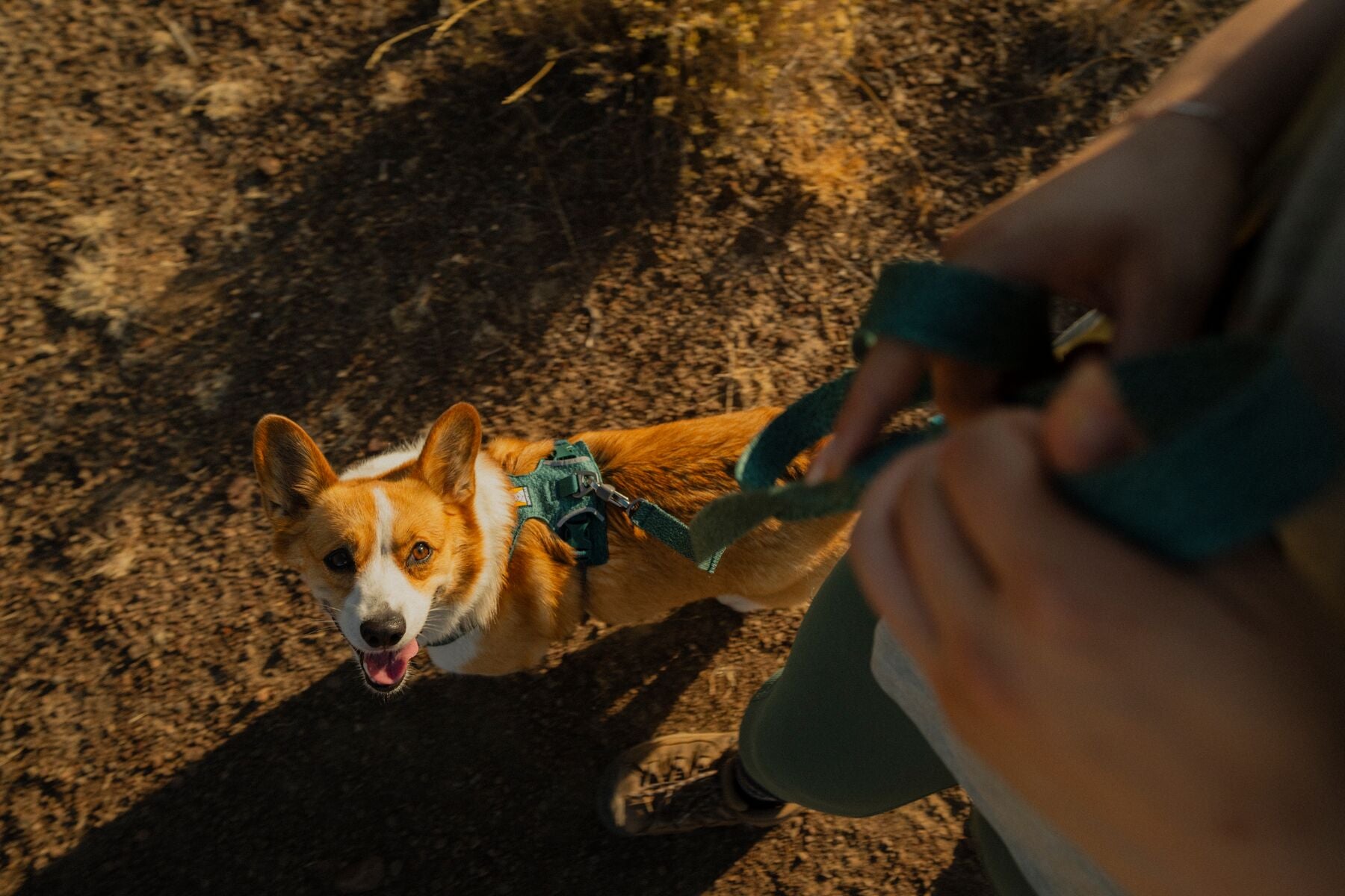 Correa para Perro Front Range™ Flex Leash en Azul Polar (Polar Blue) | Ruffwear