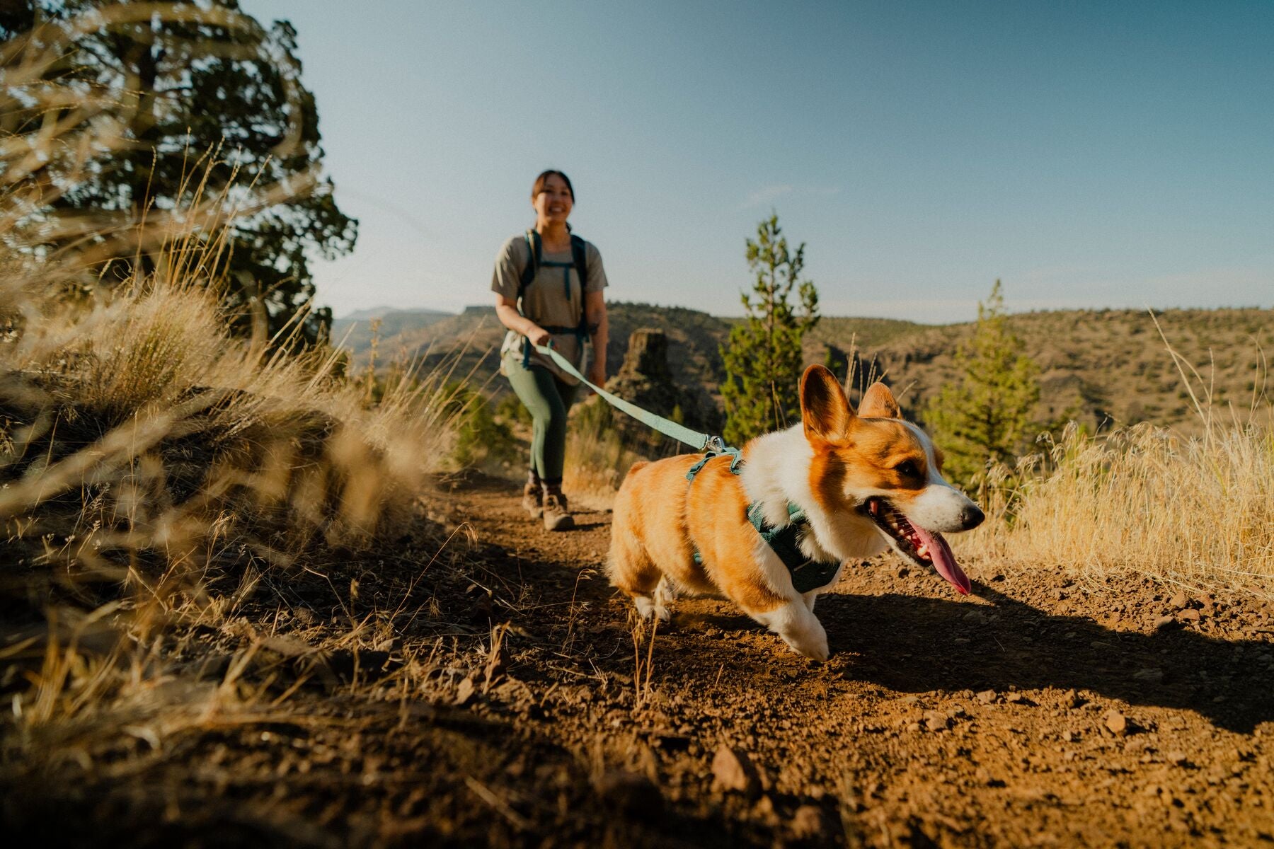 Pechera para Perro Front Range® Flex Harness en Azul Polar (Polar Blue) | Ruffwear