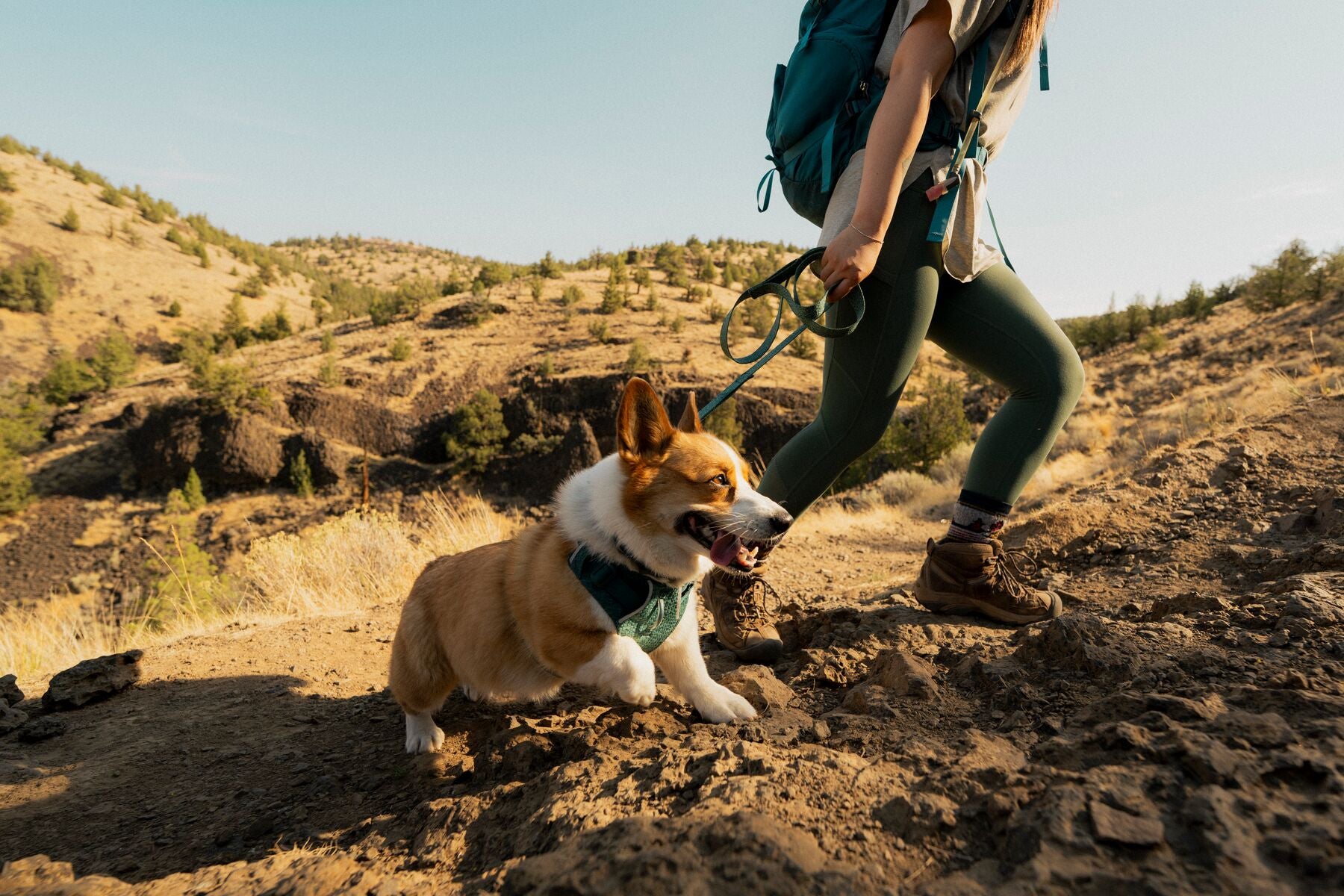 Pechera para Perro Front Range® Flex Harness en Azul Polar (Polar Blue) | Ruffwear