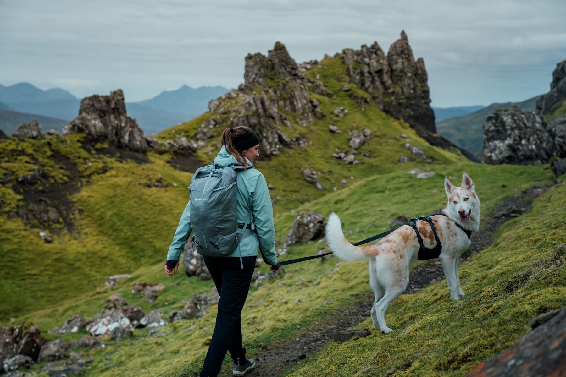 Correa para Perro Ridgeline™ Leash en Negro Obsidiana (Obsidian Black) | Ruffwear
