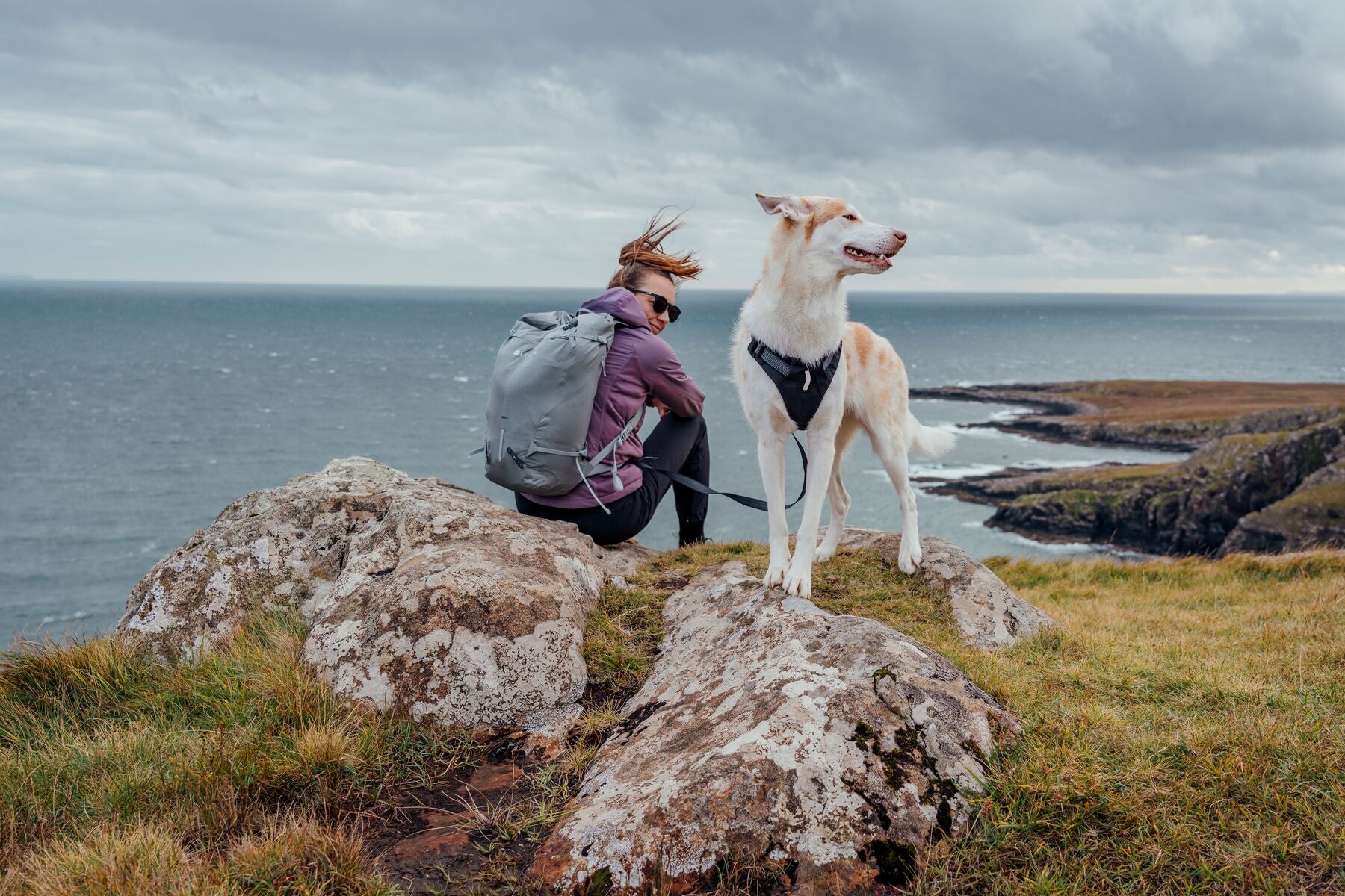 Correa para Perro Ridgeline™ Leash en Negro Obsidiana (Obsidian Black) | Ruffwear