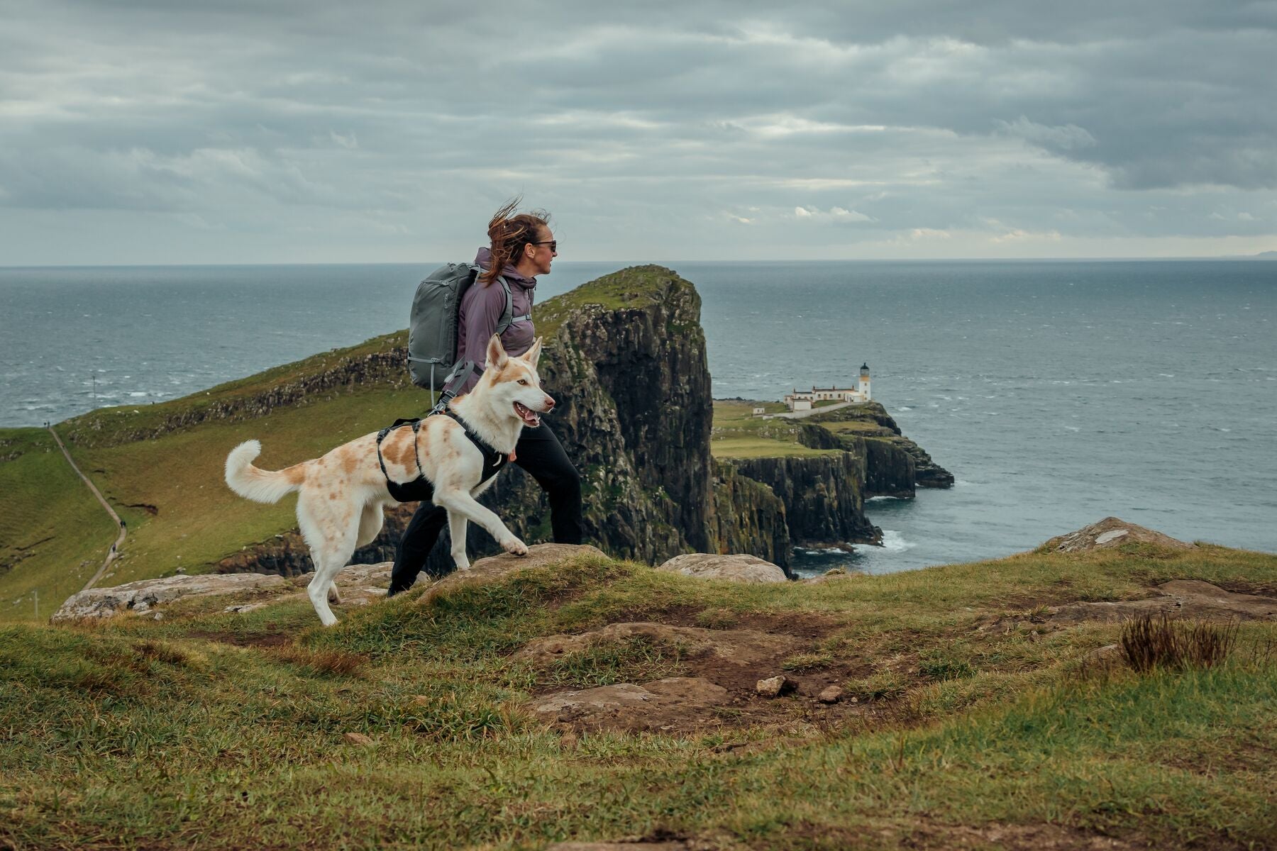 Correa para Perro Ridgeline™ Leash en Negro Obsidiana (Obsidian Black) | Ruffwear