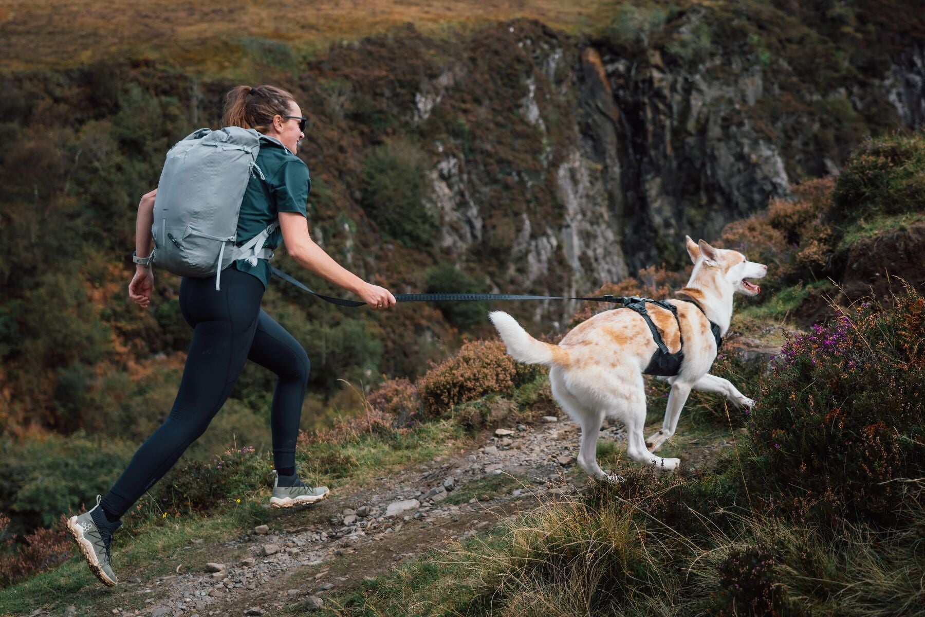 Correa para Perro Ridgeline™ Leash en Negro Obsidiana (Obsidian Black) | Ruffwear