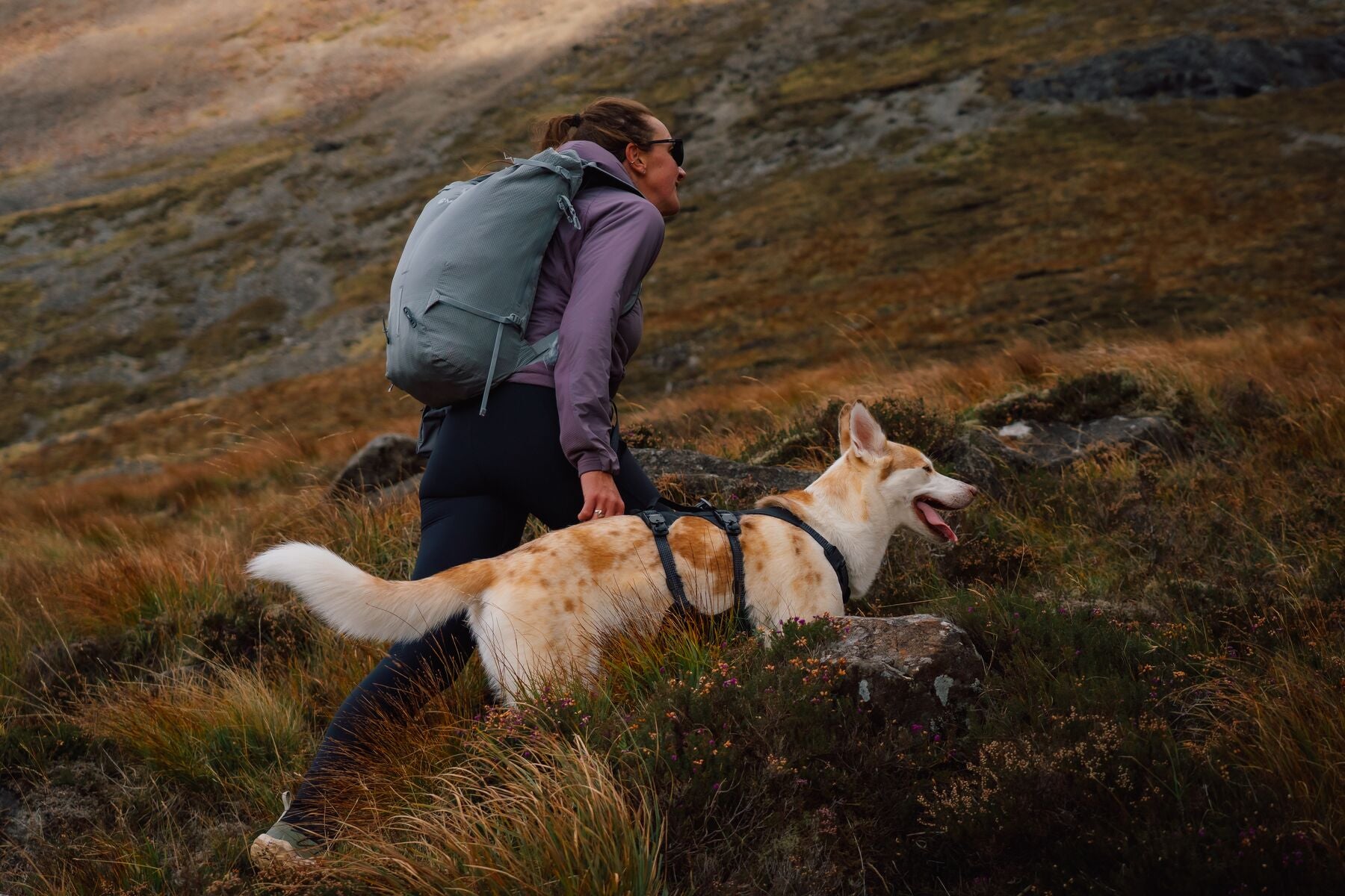 Correa para Perro Ridgeline™ Leash en Negro Obsidiana (Obsidian Black) | Ruffwear