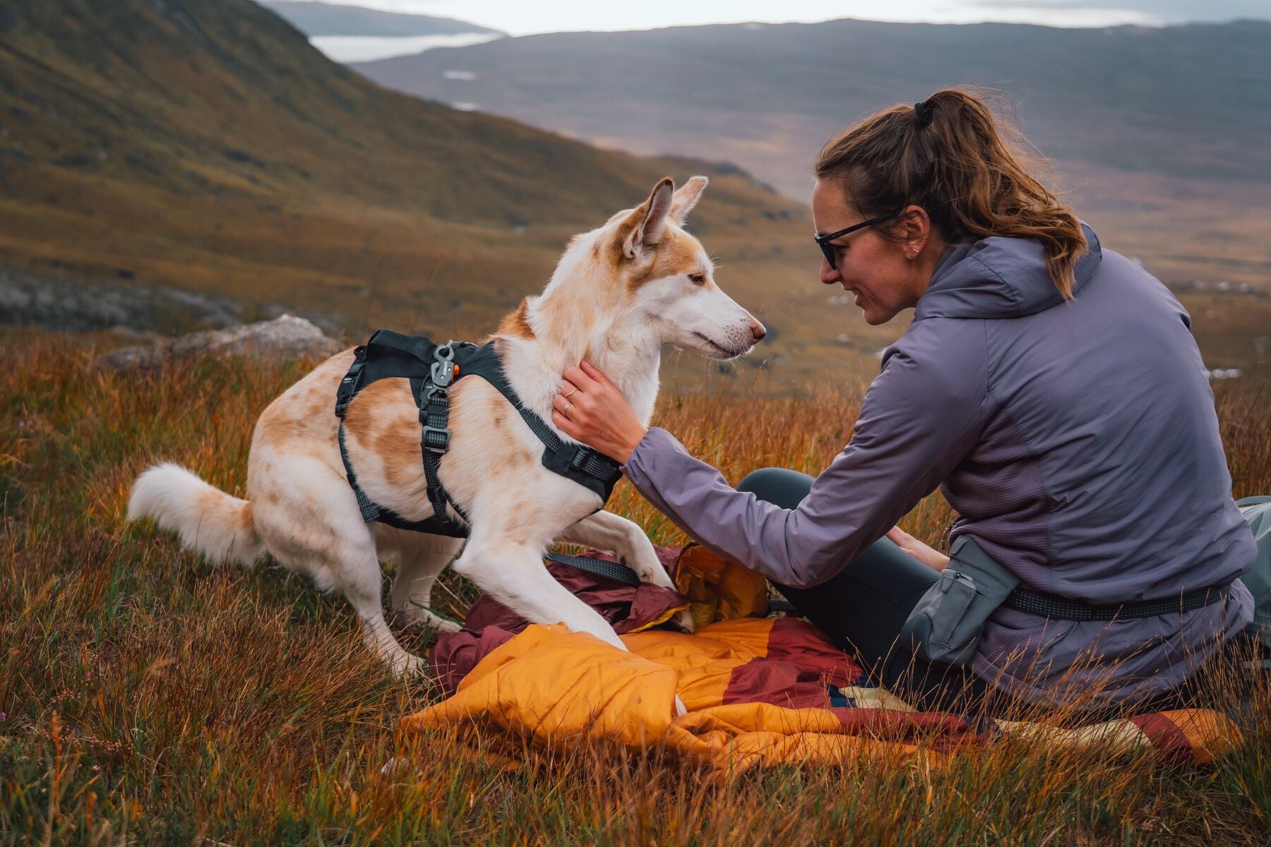 Correa para Perro Ridgeline™ Leash en Negro Obsidiana (Obsidian Black) | Ruffwear