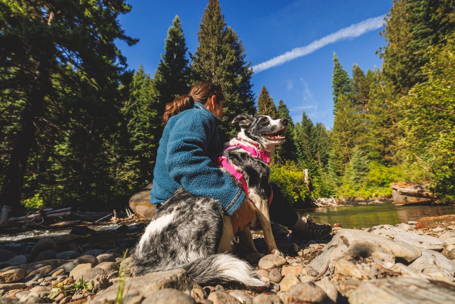 Perro con pechera Front Range Pink Mountains sentado junto al río con su humana