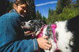 Perra feliz con pechera Front Range Pink Mountains abrazada por su humana