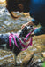 Perro en el arroyo con pechera Front Range Pink Mountains y correa Pink Rose