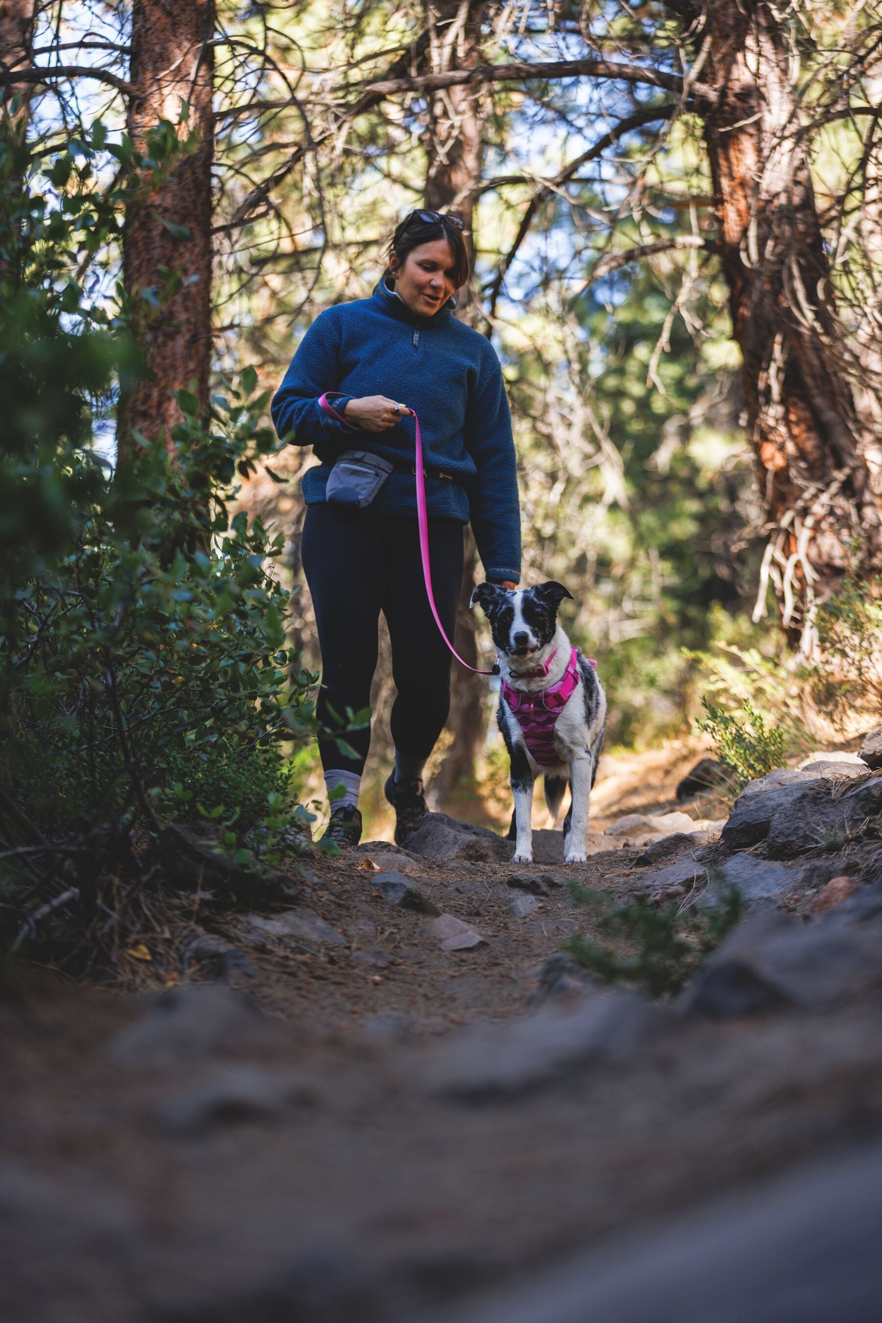 Paseo en el bosque con pechera Front Range Pink Mountains y correa Pink Rose