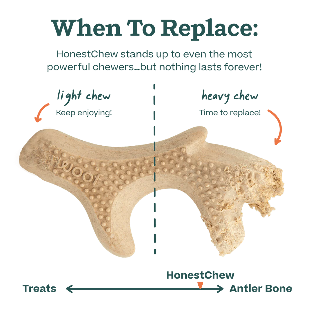 Hueso HonestChew Antler para Perros | Mordedera de Larga Duración para Perros Fuertes - Woof®