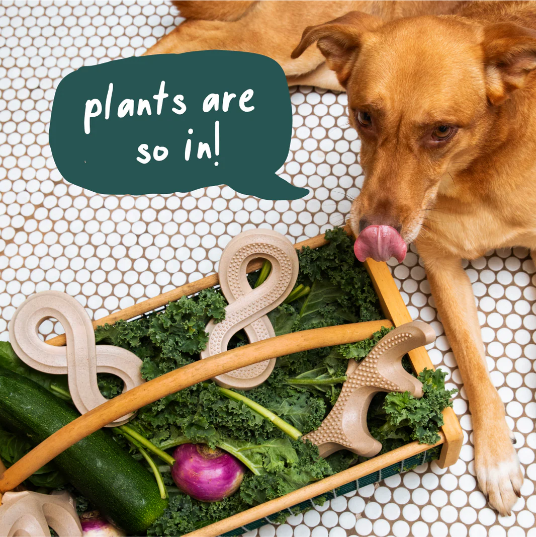 Hueso HonestChew Antler para Perros | Mordedera de Larga Duración para Perros Fuertes - Woof®