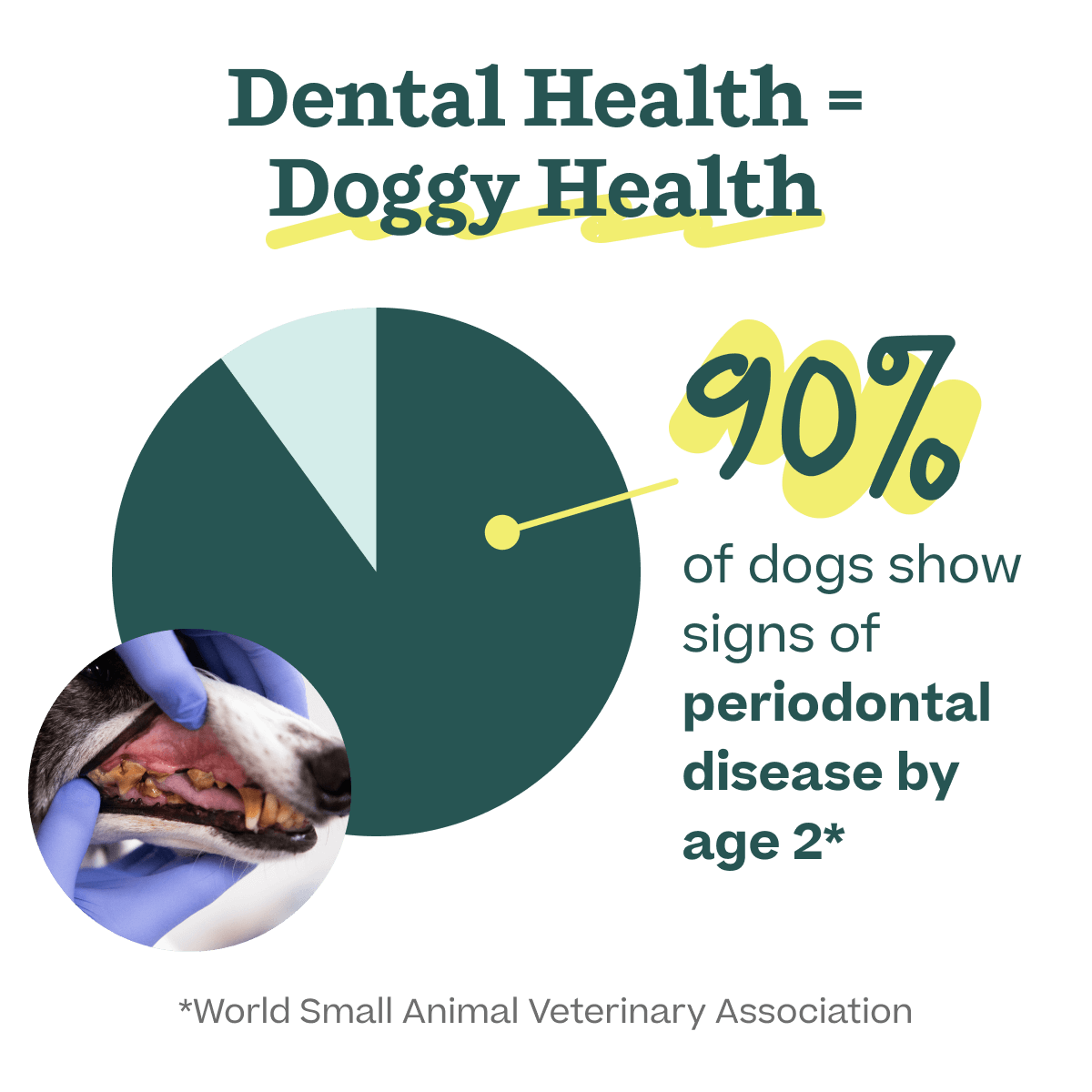 LickWells Doggy Dental | Suplemento Dental Untable para Perros - Woof